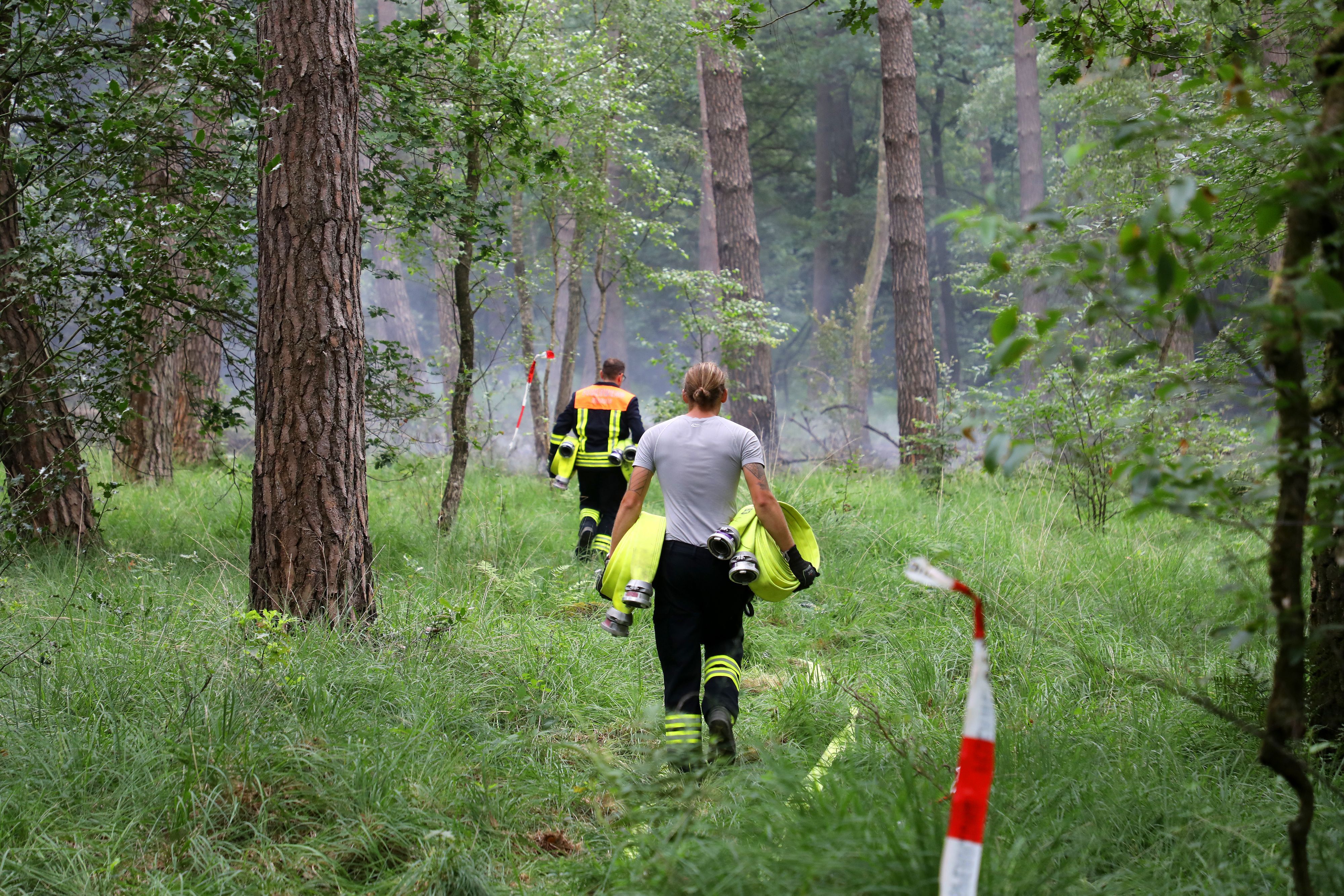 Feuerwehrleute tragen Schläuche in den von einem Waldbrand betroffenen Wald in der Wahner Heide bei Rösrath.
