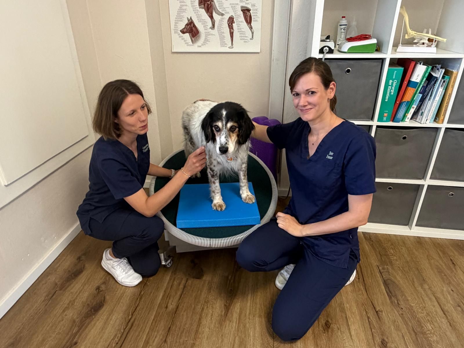 Vanessa Niemeyer und Birte Krauß mit ihrem Patienten, Mischlingshund Milo.