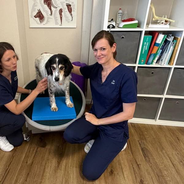 Vanessa Niemeyer und Birte Krauß mit ihrem Patienten, Mischlingshund Milo.