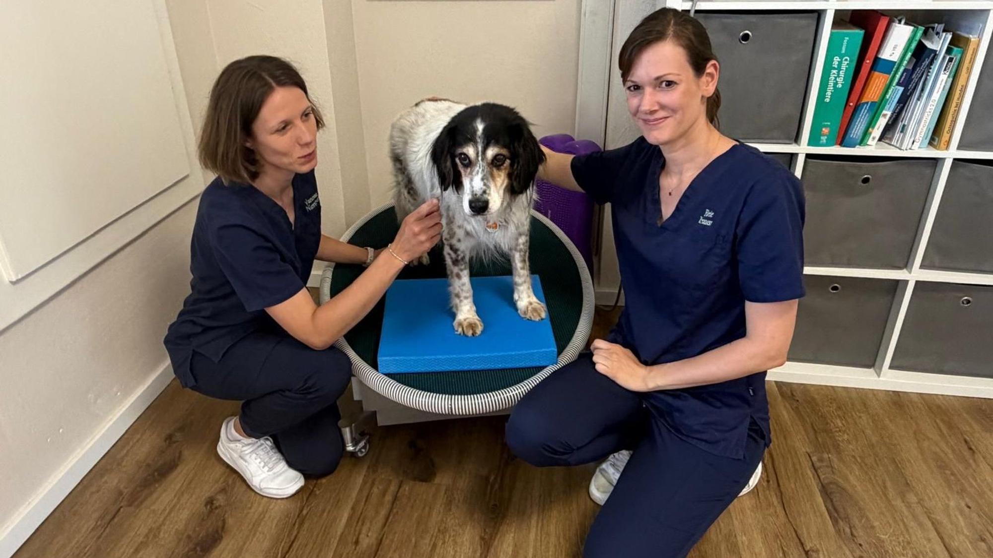 Vanessa Niemeyer und Birte Krauß mit ihrem Patienten, Mischlingshund Milo.