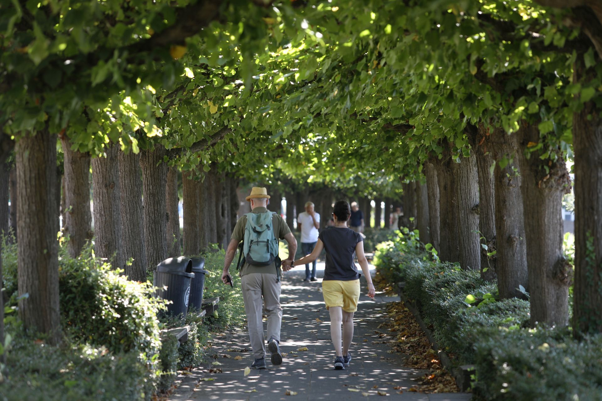 K-nigswinter-Ausschussmitglieder-vermissen-Caf-auf-Pl-nen-f-r-die-Rheinpromenade