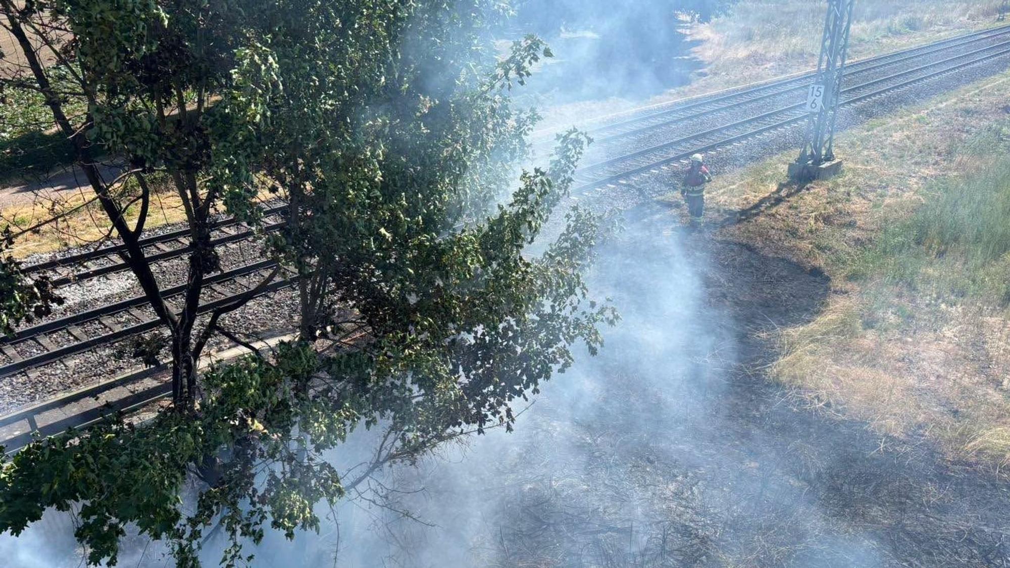 Die Feuerwehr löschte einen Vegetationsbrand in Brühl.