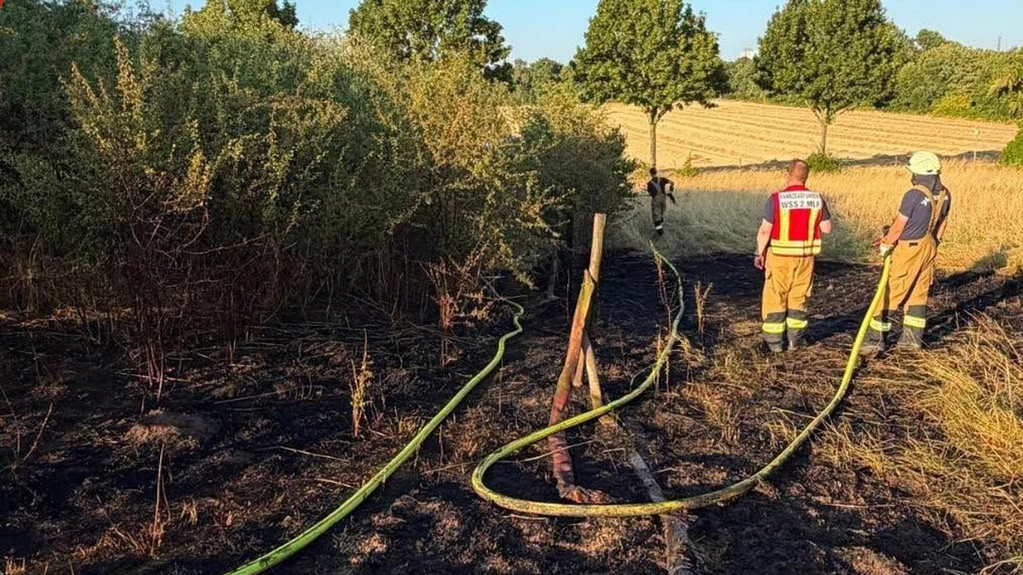 Die Feuerwehr löschte einen Vegetationsbrand in Wesseling.