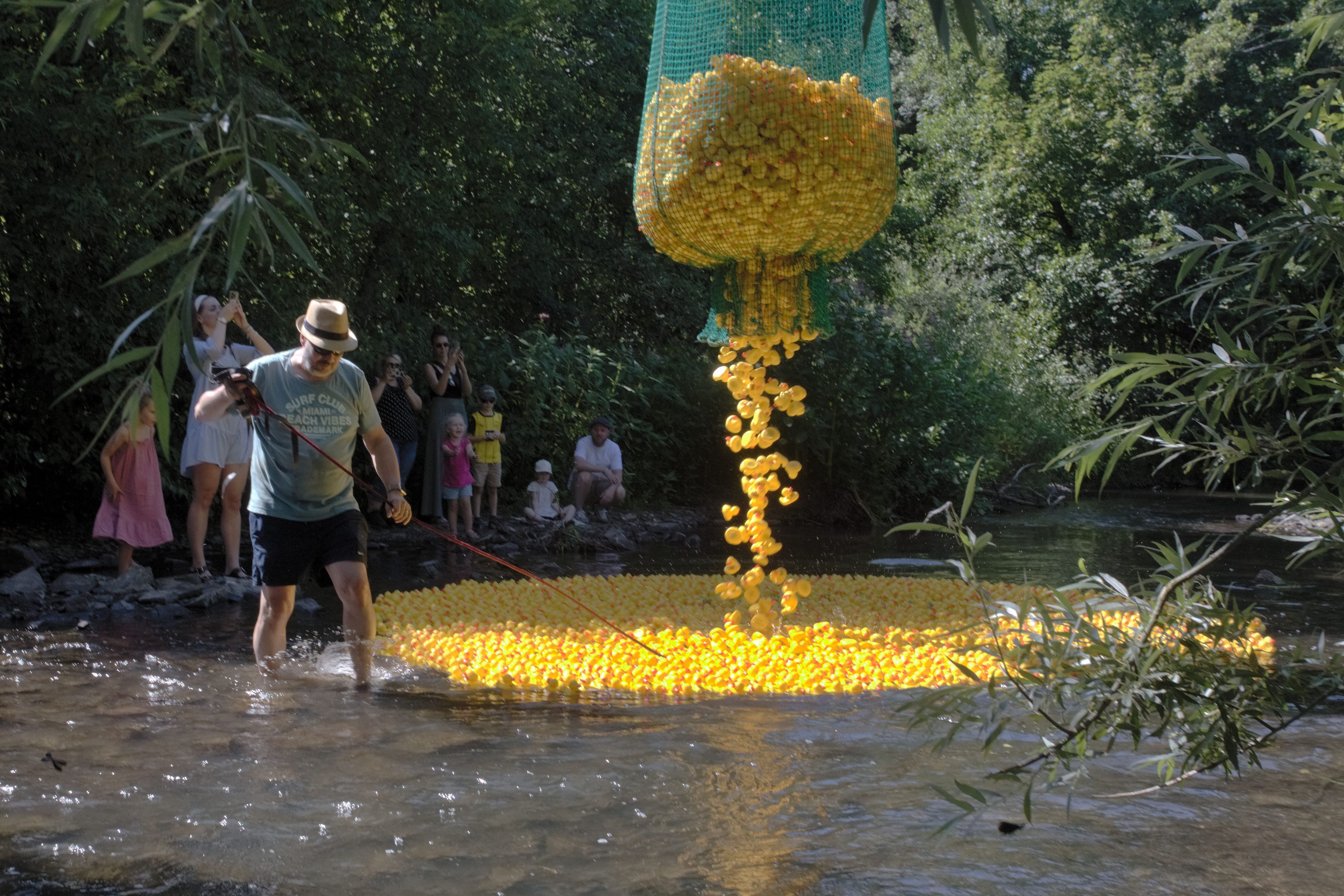 Für den Hauptlauf des Wipperfürther Entenrennens schütten die Organisatoren 5000 Enten ins Wupperwasser.