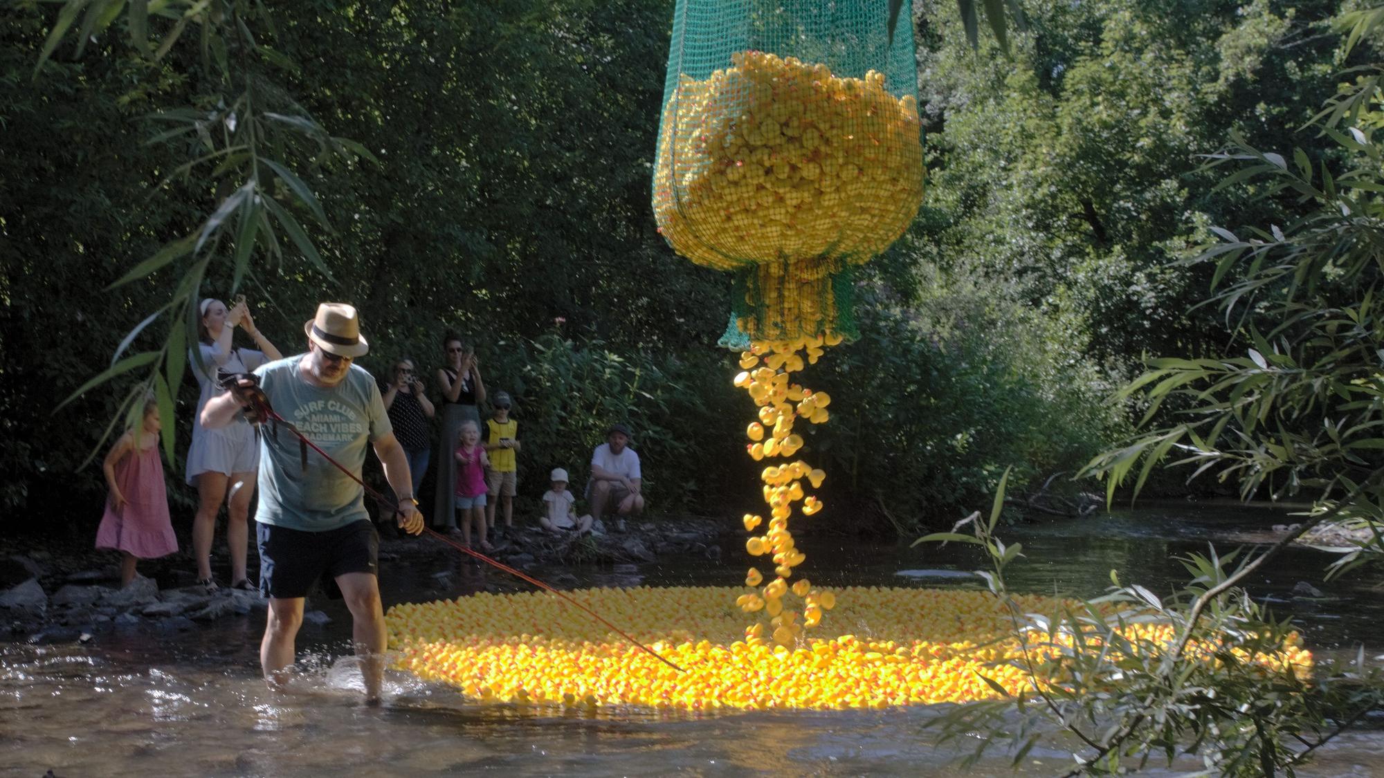 Für den Hauptlauf des Wipperfürther Entenrennens schütten die Organisatoren 5000 Enten ins Wupperwasser.