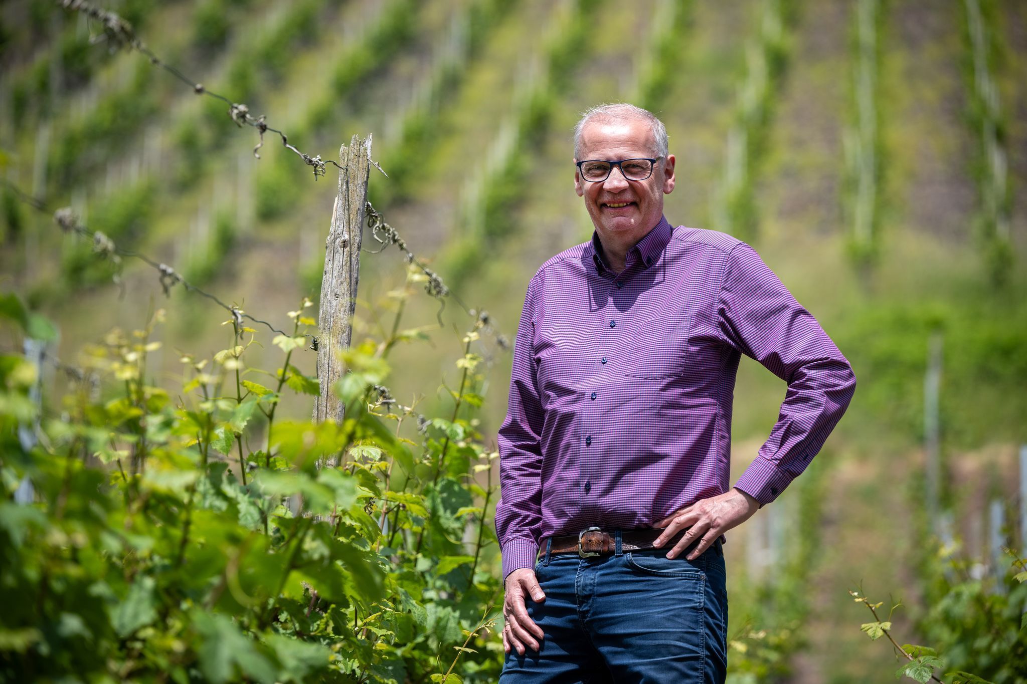 Zwischen den Riesling-Reben: Abseits des Fernsehstudios ist Günther Jauch gerne auf seinem Weingut an der Saar. (Archivbild)