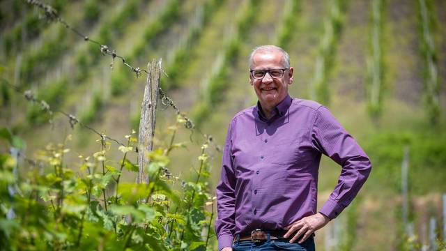 Zwischen den Riesling-Reben: Abseits des Fernsehstudios ist Günther Jauch gerne auf seinem Weingut an der Saar. (Archivbild)