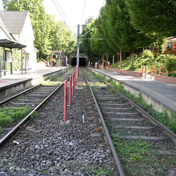 KVB Linie 1 außer Betrieb Sanierungsrbeiten Schienenersatzverkehr