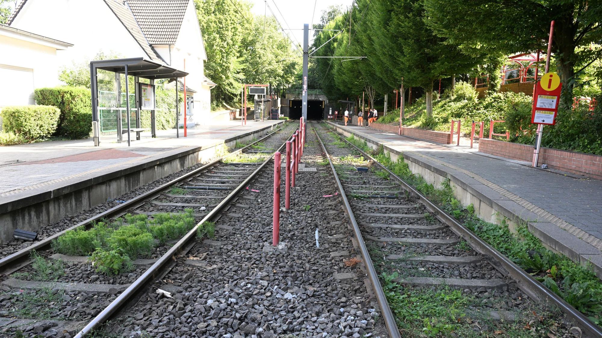 KVB Linie 1 außer Betrieb Sanierungsrbeiten Schienenersatzverkehr