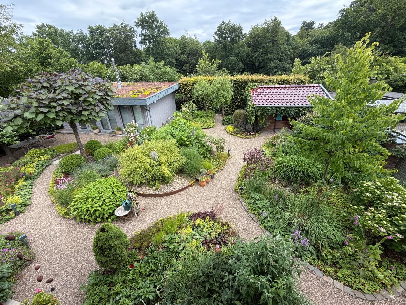 Rasen gibt es in Kirsten Siefert Garten nicht, aber rund 200 verschiedene Pflanzen.