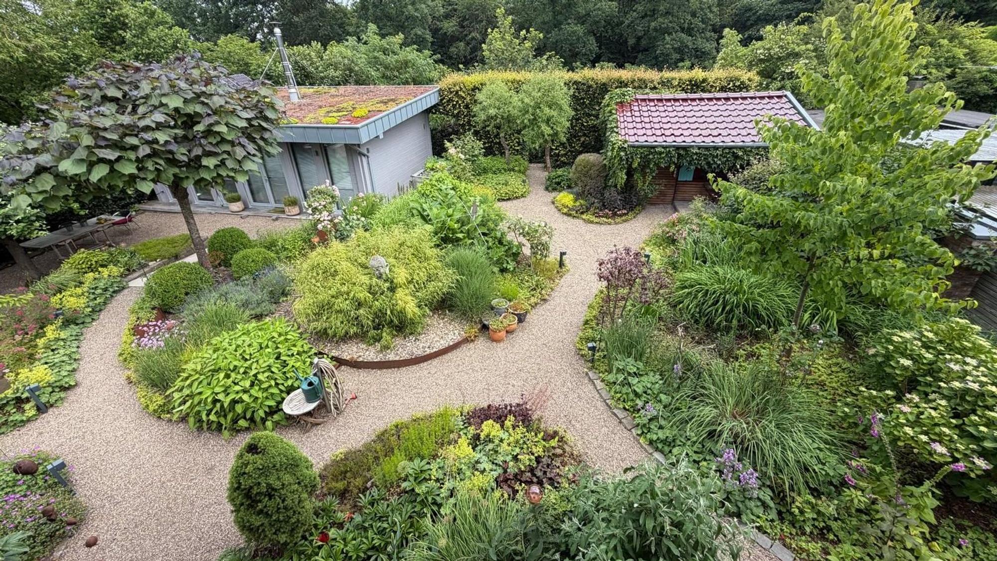 Rasen gibt es in Kirsten Siefert Garten nicht, aber rund 200 verschiedene Pflanzen.
