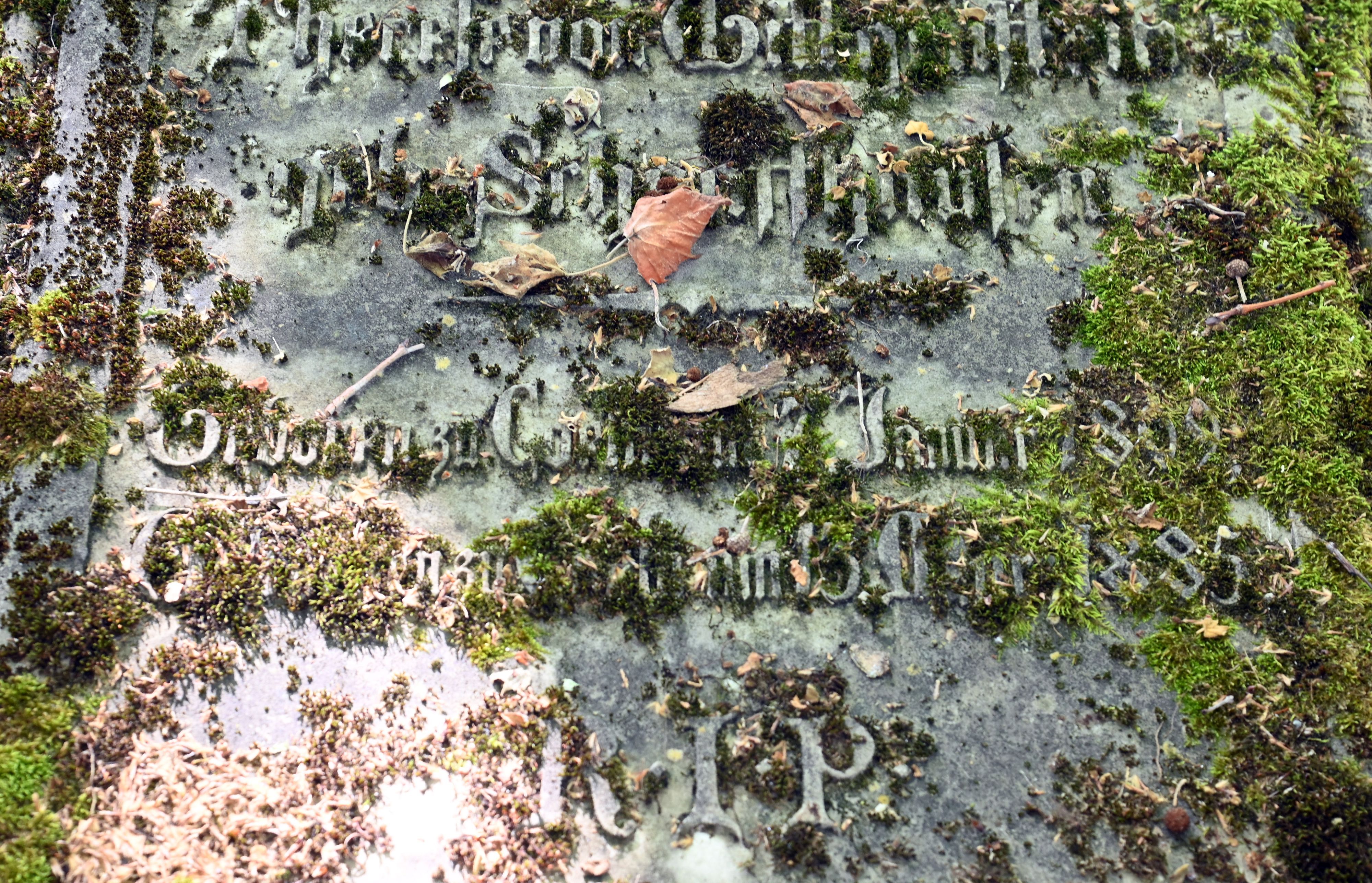 Grabplatte eines Mitglieds der Familie von Wittgenstein auf dem Kölner Friedhof Melaten