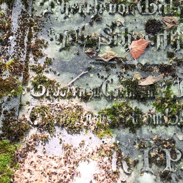 Grabplatte eines Mitglieds der Familie von Wittgenstein auf dem Kölner Friedhof Melaten