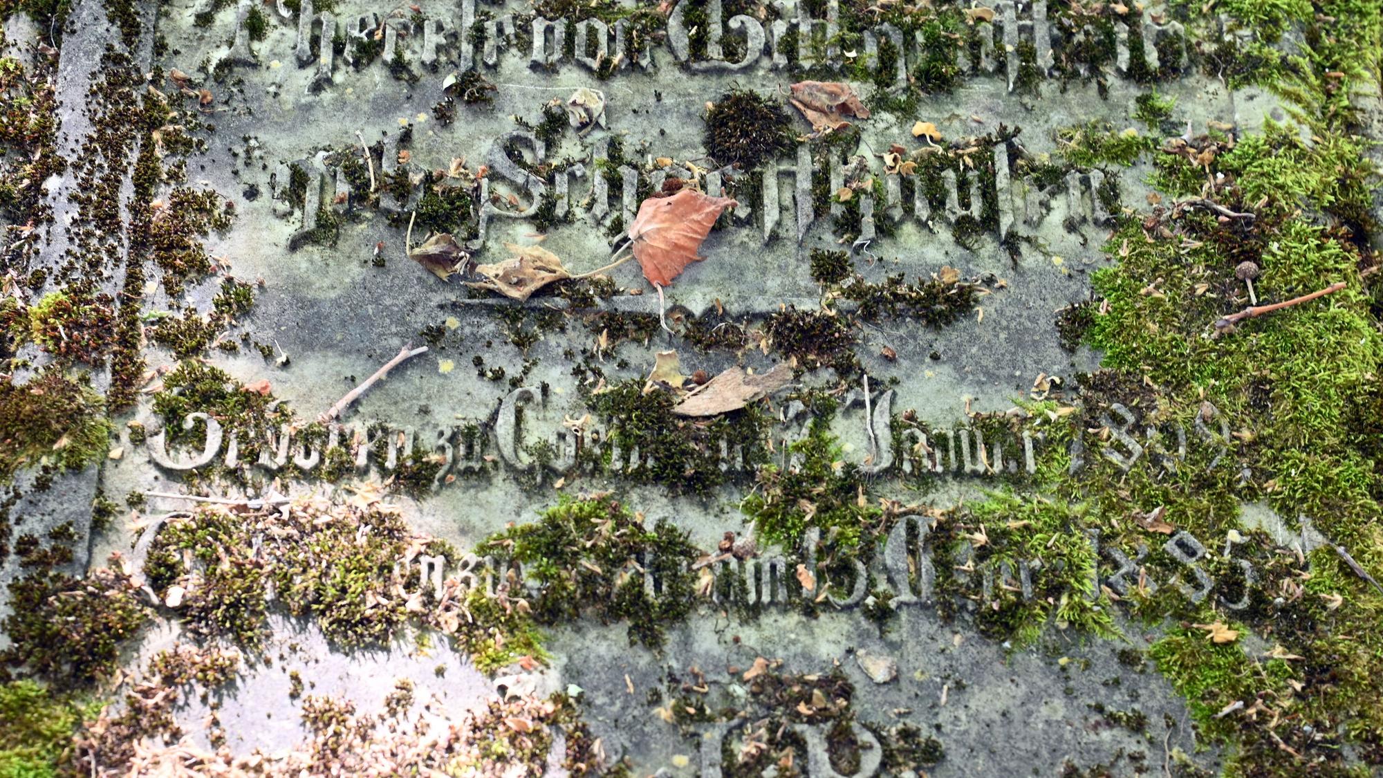 Grabplatte eines Mitglieds der Familie von Wittgenstein auf dem Kölner Friedhof Melaten