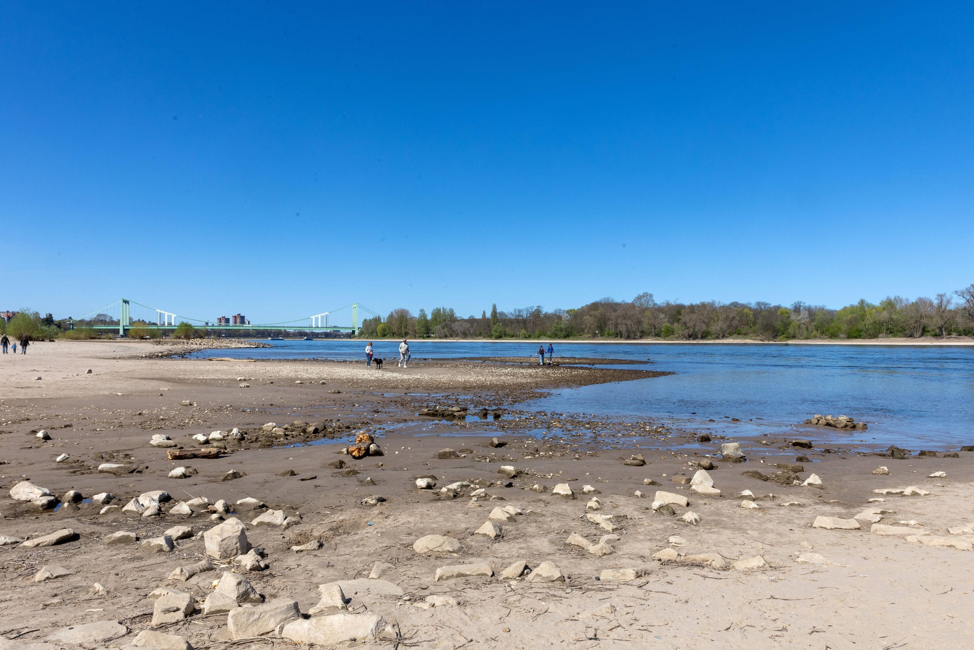 Wichtige-Wasserstra-e-Rheinpegel-f-llt-in-K-ln-unter-einen-Meter-das-sind-die-Konsequenzen