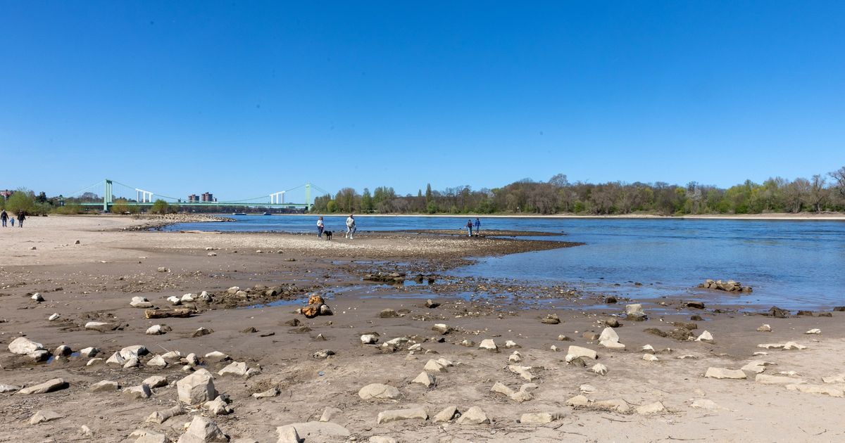 Wichtige Wasserstraße: Rheinpegel fällt in Köln unter einen Meter – das sind die Konsequenzen