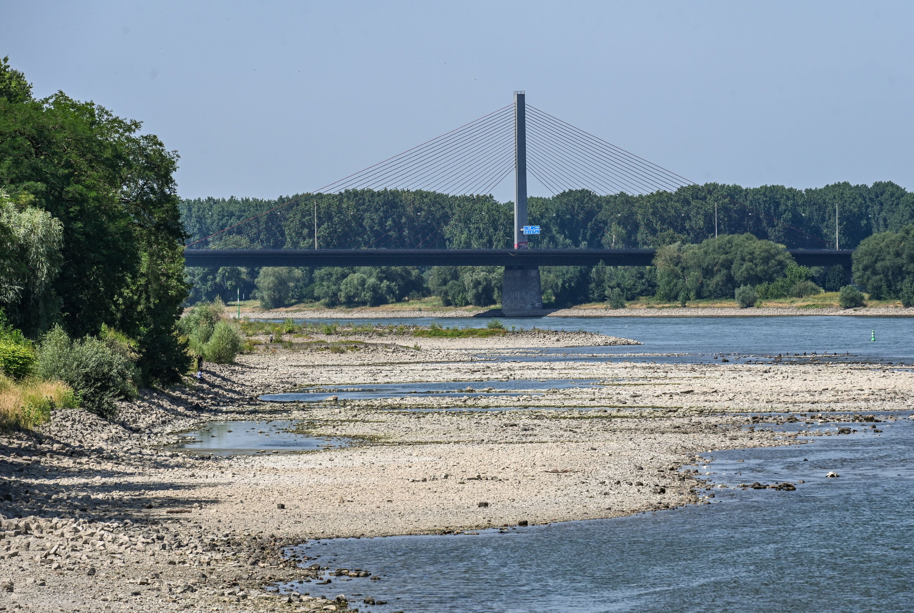 Ausgetrocknetes Flussbett des Rheins, am 9. Juli 2026 in Bonn. Im Hintergrund die gesperrte Autobahnbrücke der A565.