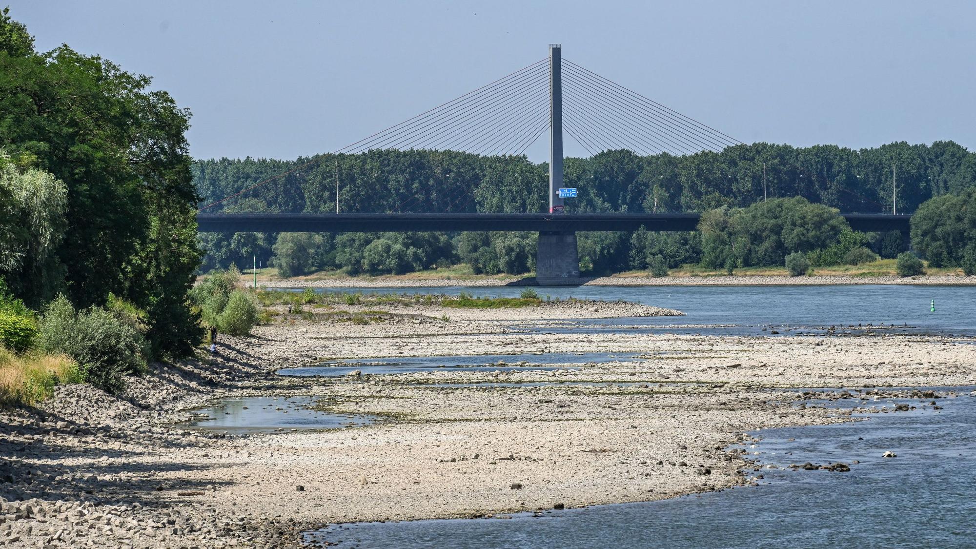 Ausgetrocknetes Flussbett des Rheins, am 9. Juli 2026 in Bonn. Im Hintergrund die gesperrte Autobahnbrücke der A565.