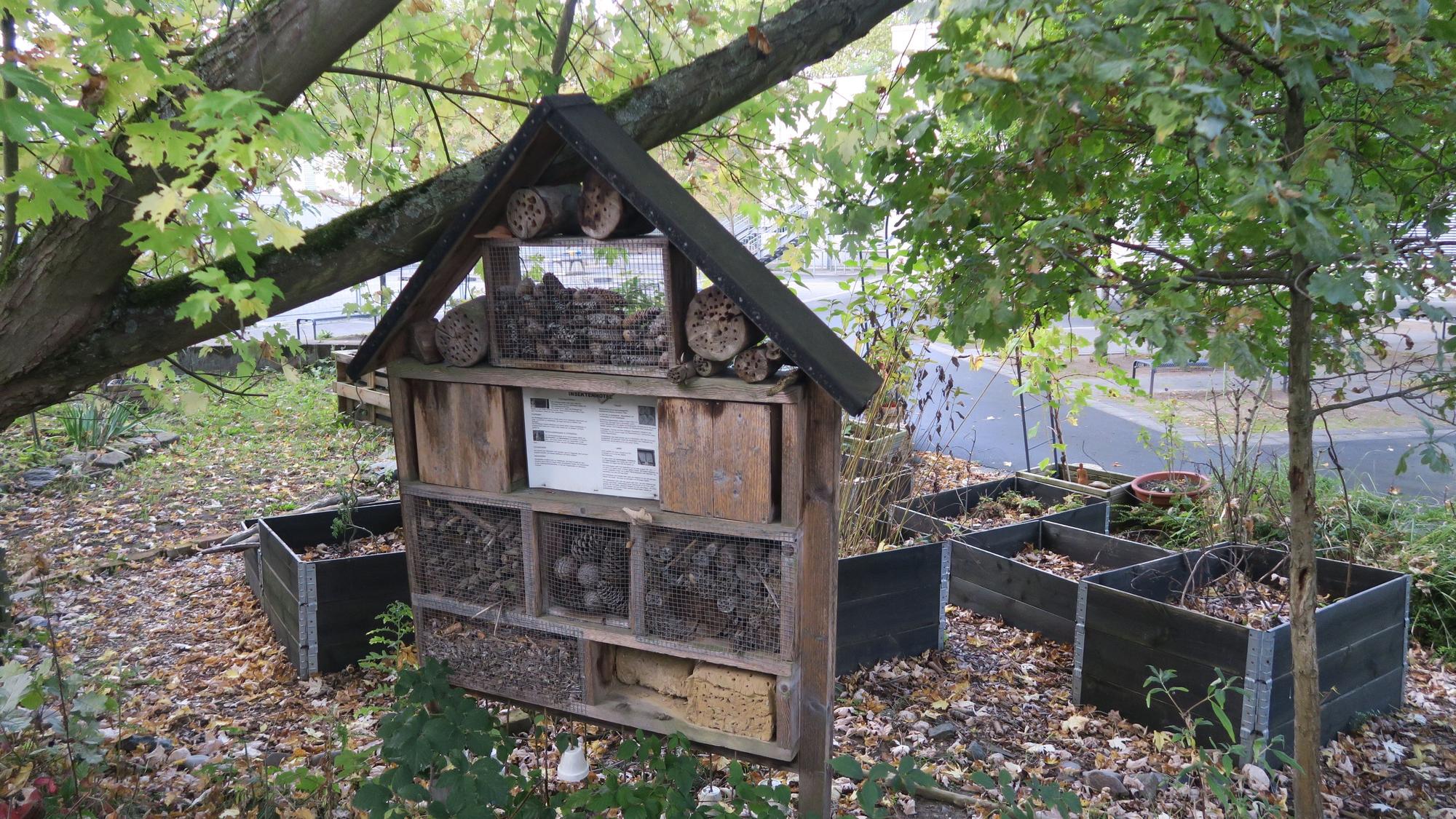 Auch der Schulgarten mit Insektenhotel an der Max-Ernst-Gesamtschule in Bocklemünd soll den Baumaßnahmen weichen.