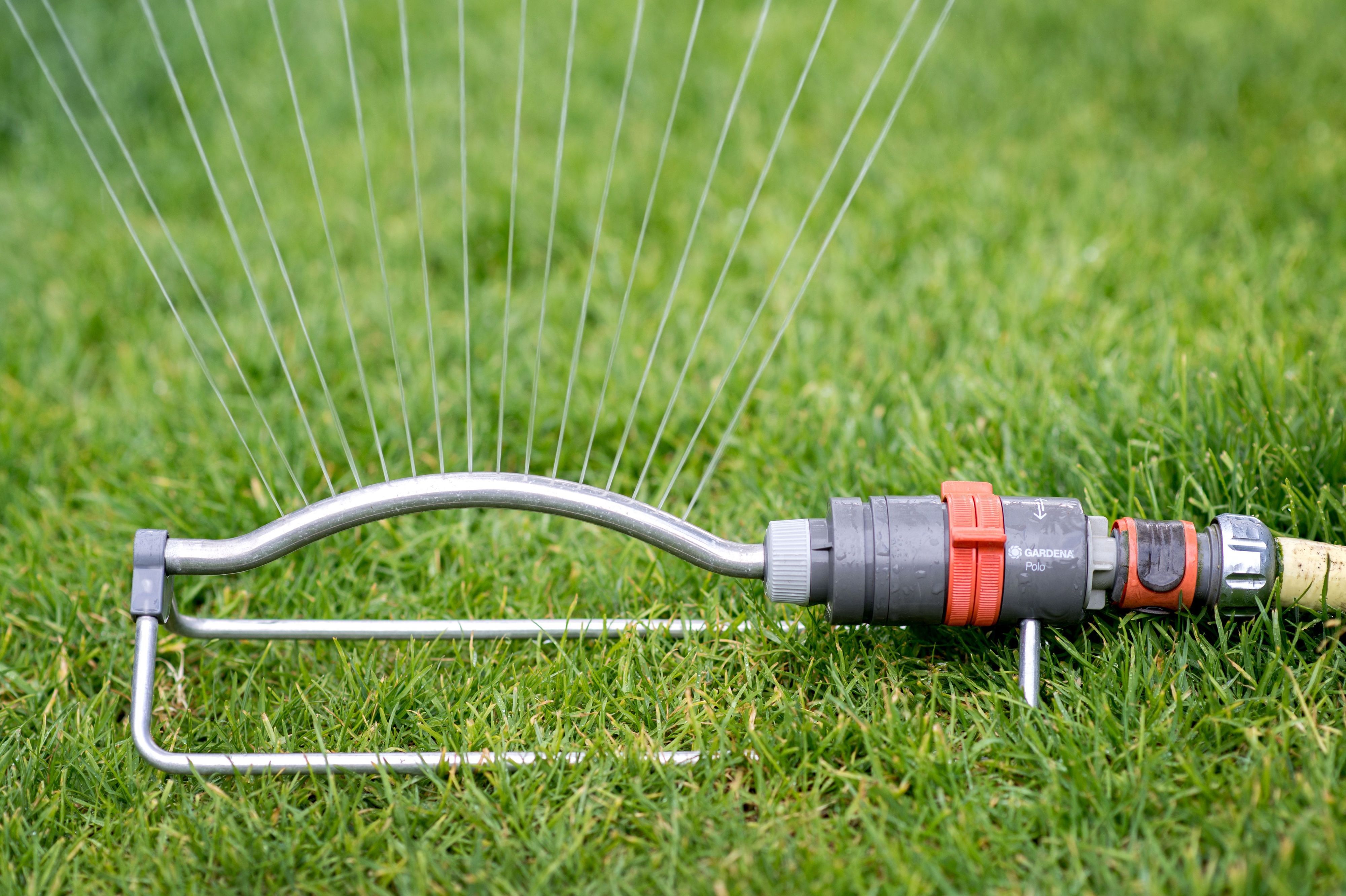 Ein Rasensprenger verteilt Wasser über einer Rasenfläche in einem Garten. Das ist in München nicht mehr erlaubt. (Symbolbild)