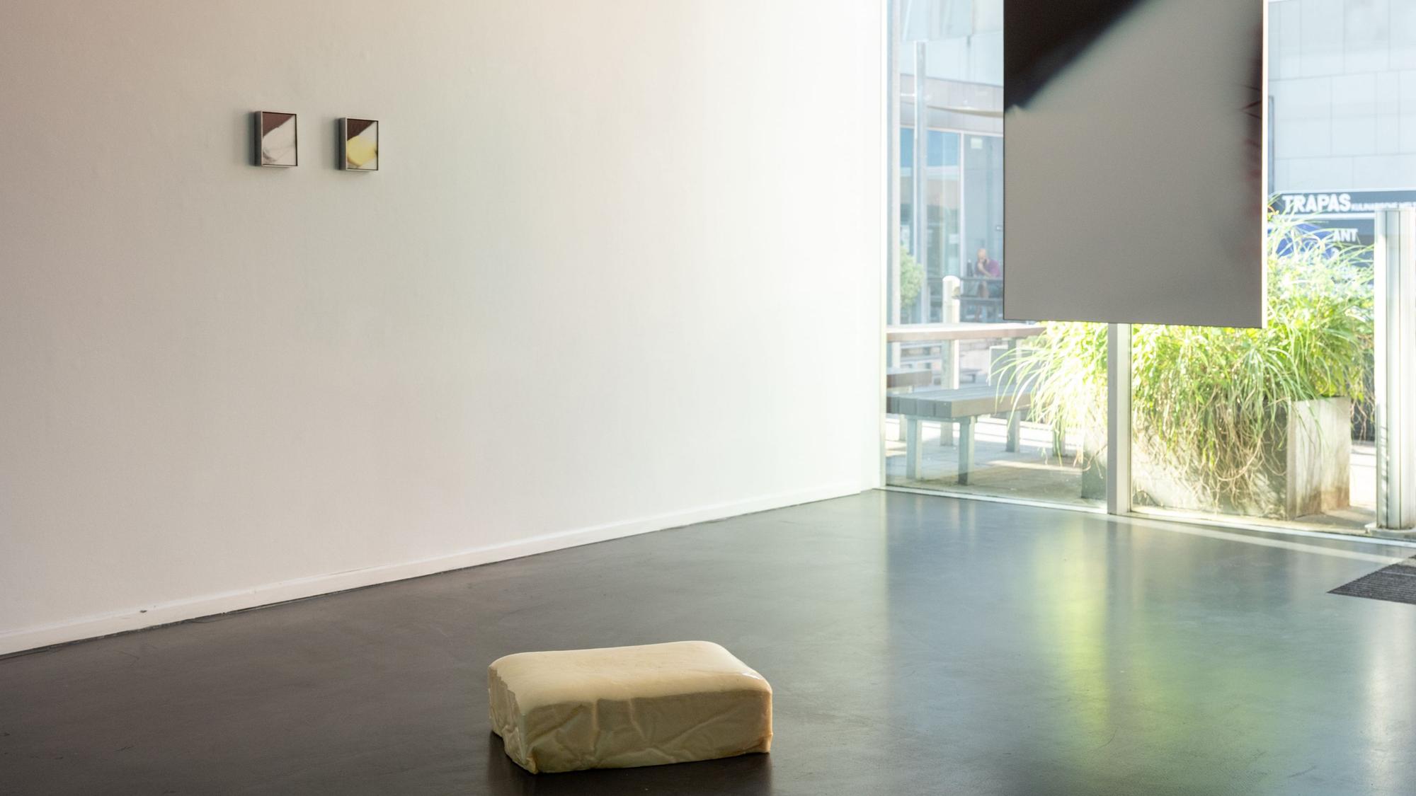Butterskulptur aus Schamstoff auf dem Boden vor abstrakten Fotografien