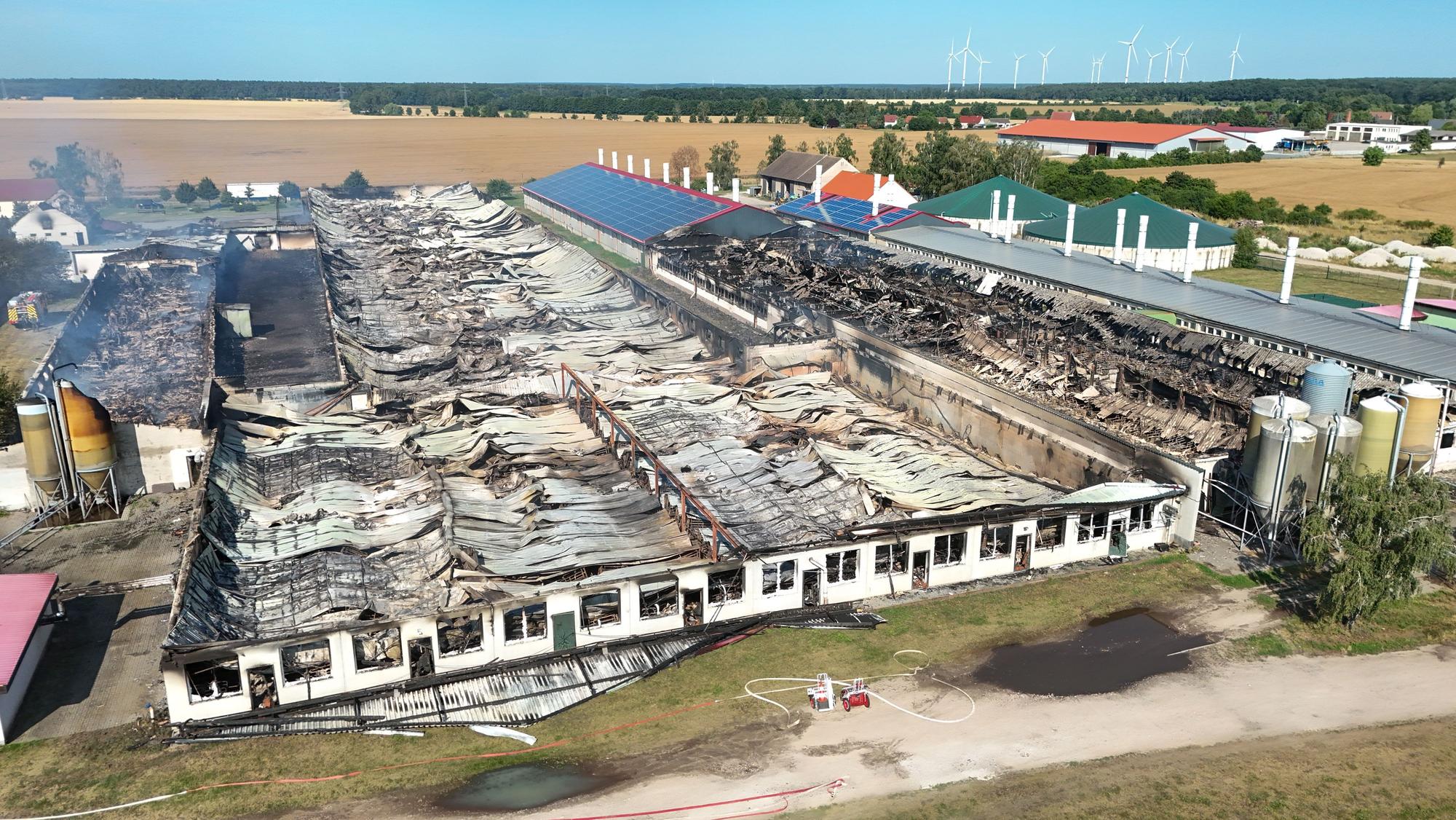 Blick auf die ausgebrannte Stallanlage (Luftaufnahme mit einer Drohne). Bei einem Feuer in einer Schweinemastanlage im Coswiger Ortsteil Düben (Landkreis Wittenberg) sind rund 20.000 Schweine ums Leben gekommen.