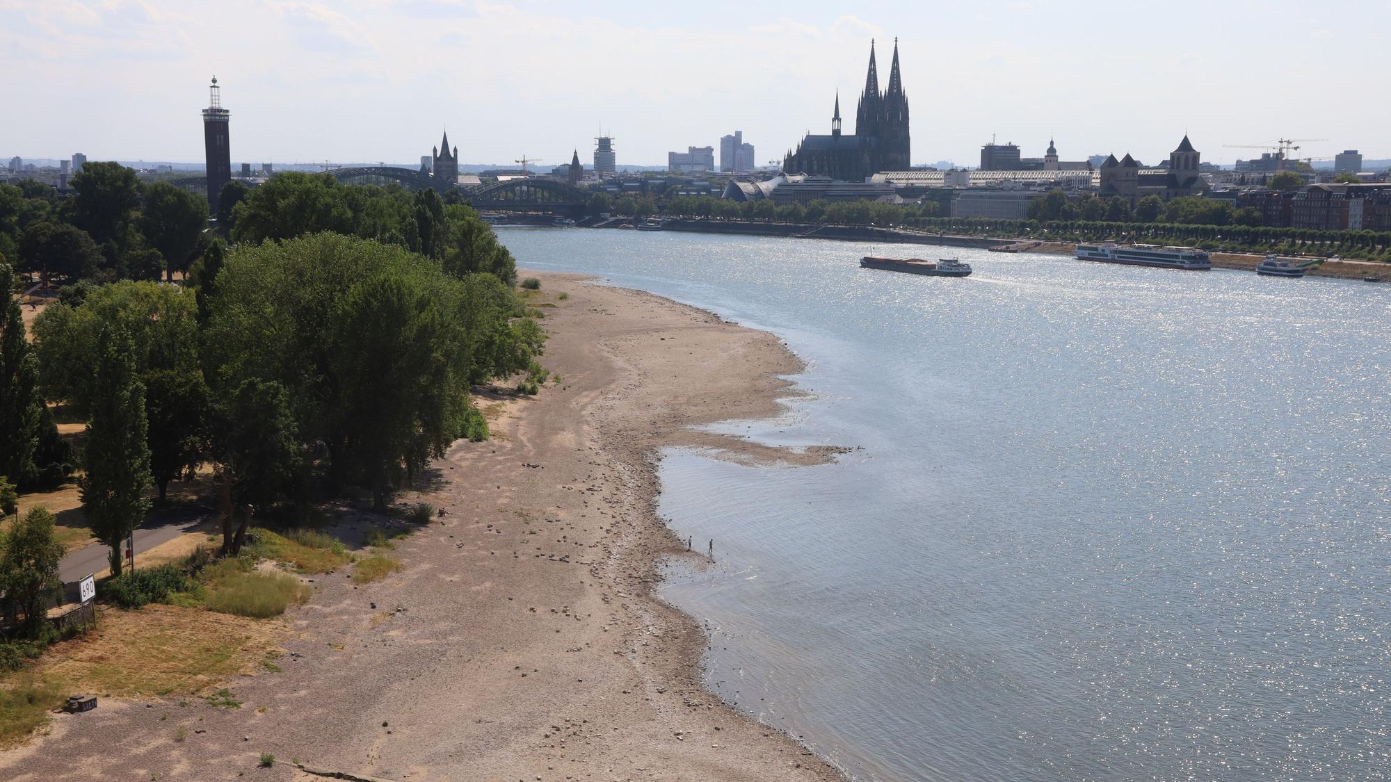 Am Rhein sind die Folgen der lang anhaltenden Trockenheit eindrucksvoll zu sehen.