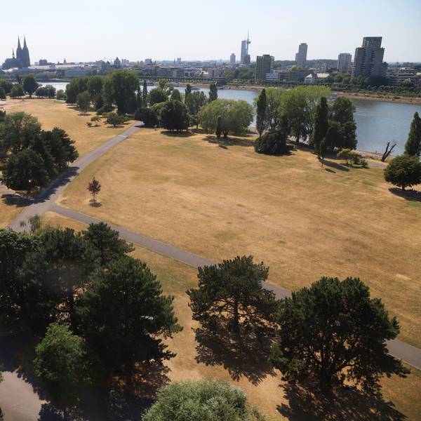 Die Trockenheit ist am Kölner Rheinufer deutlich zu sehen (Bild vom 14. Juli).