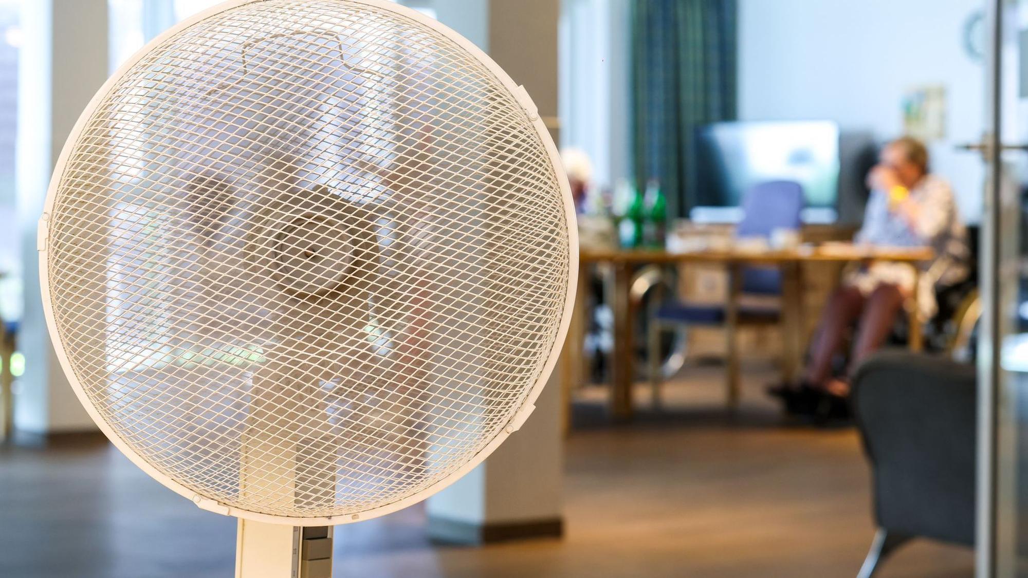 Ventilatoren sind in diesen Wochen besonders begehrt.