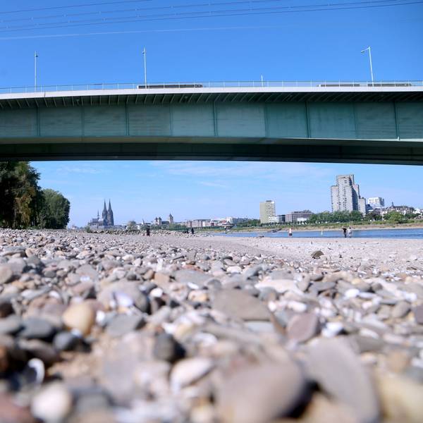 Nach wochenlanger Trockenheit hat sich der Rhein tief in sein Bett zurückgezogen.