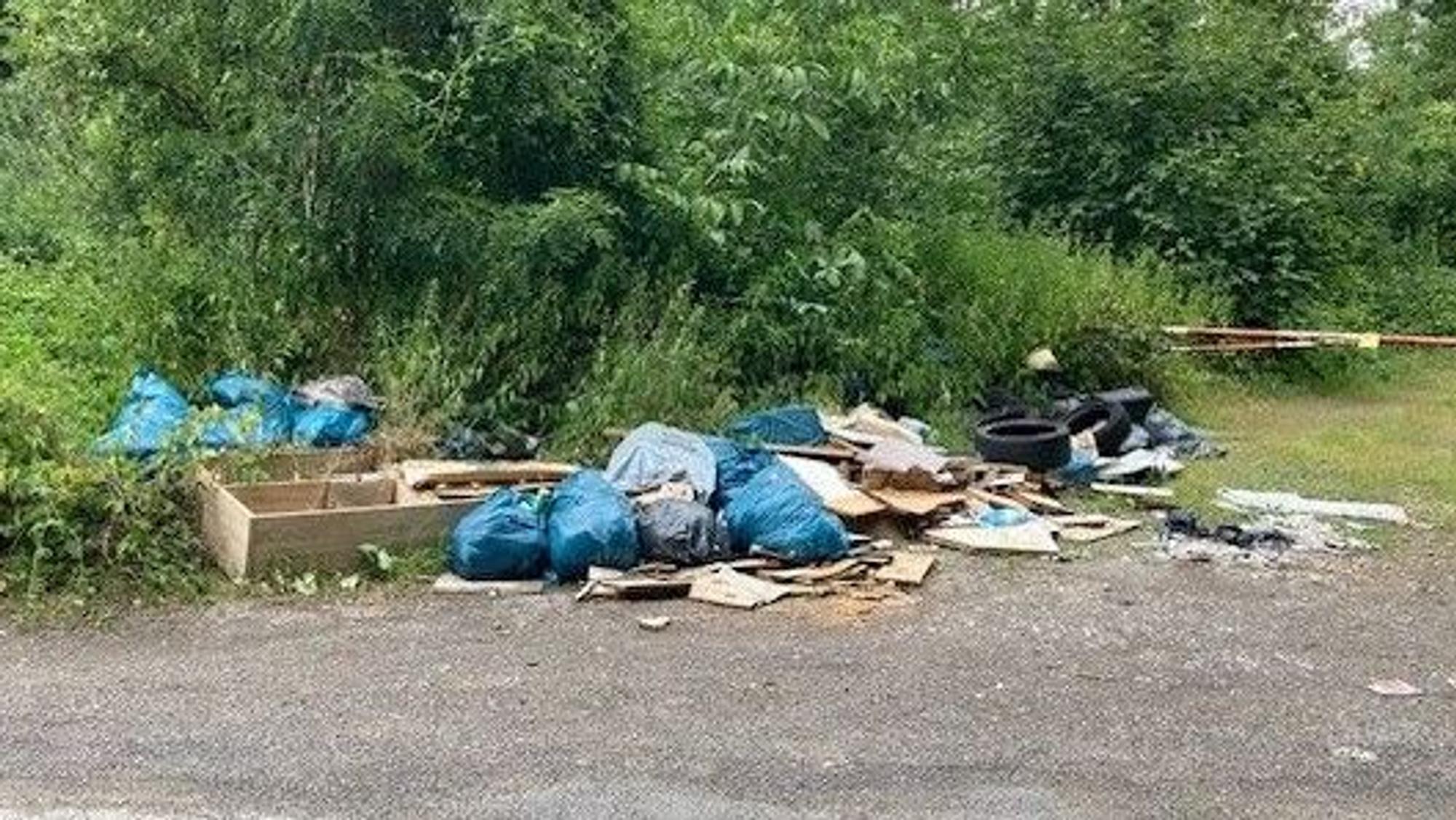 Auf dem Foto sind Sperrmüll, alte Möbel und Autoreifen sowie Müllsäcke zu sehen, die illegal an einem Waldstück entsorgt wurden.
