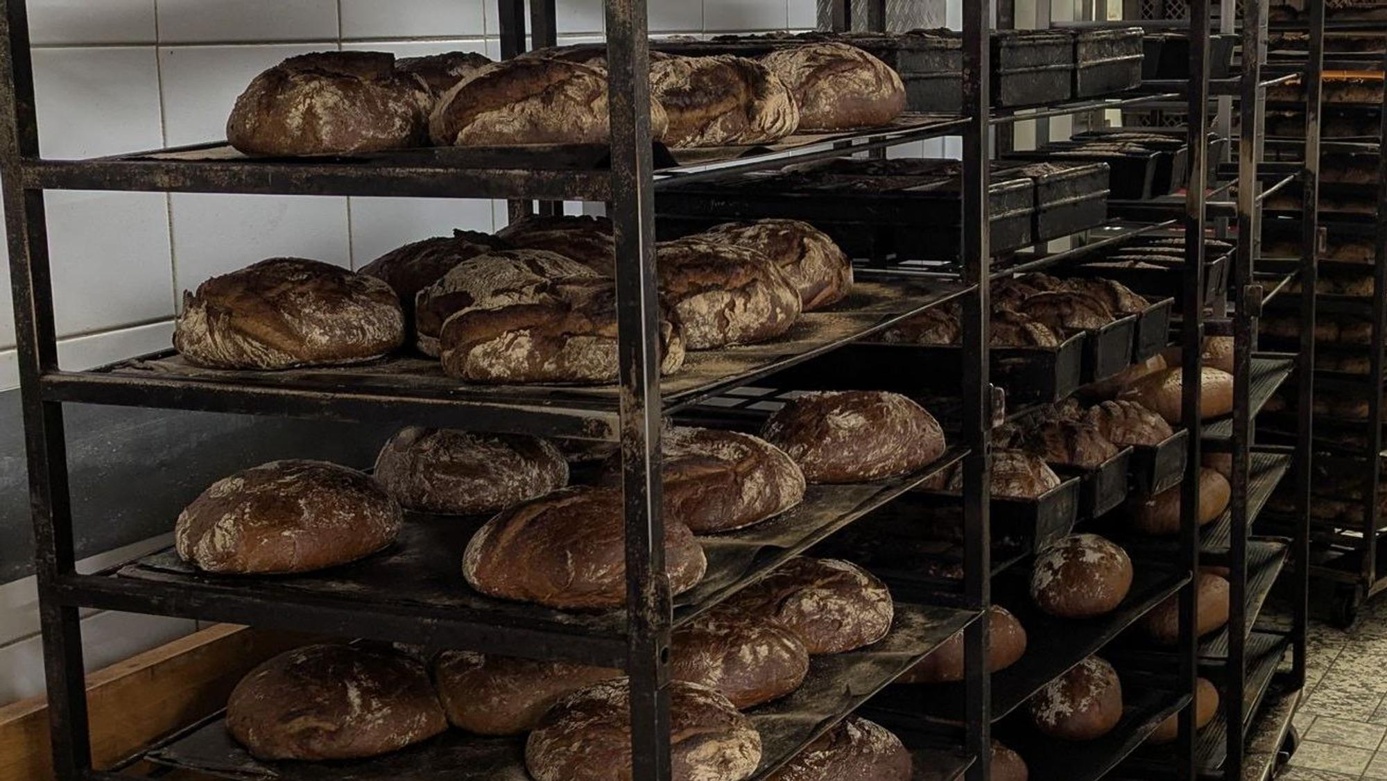 Fertig gebackenes Brot in der Backstube der Bäckerei Willeke