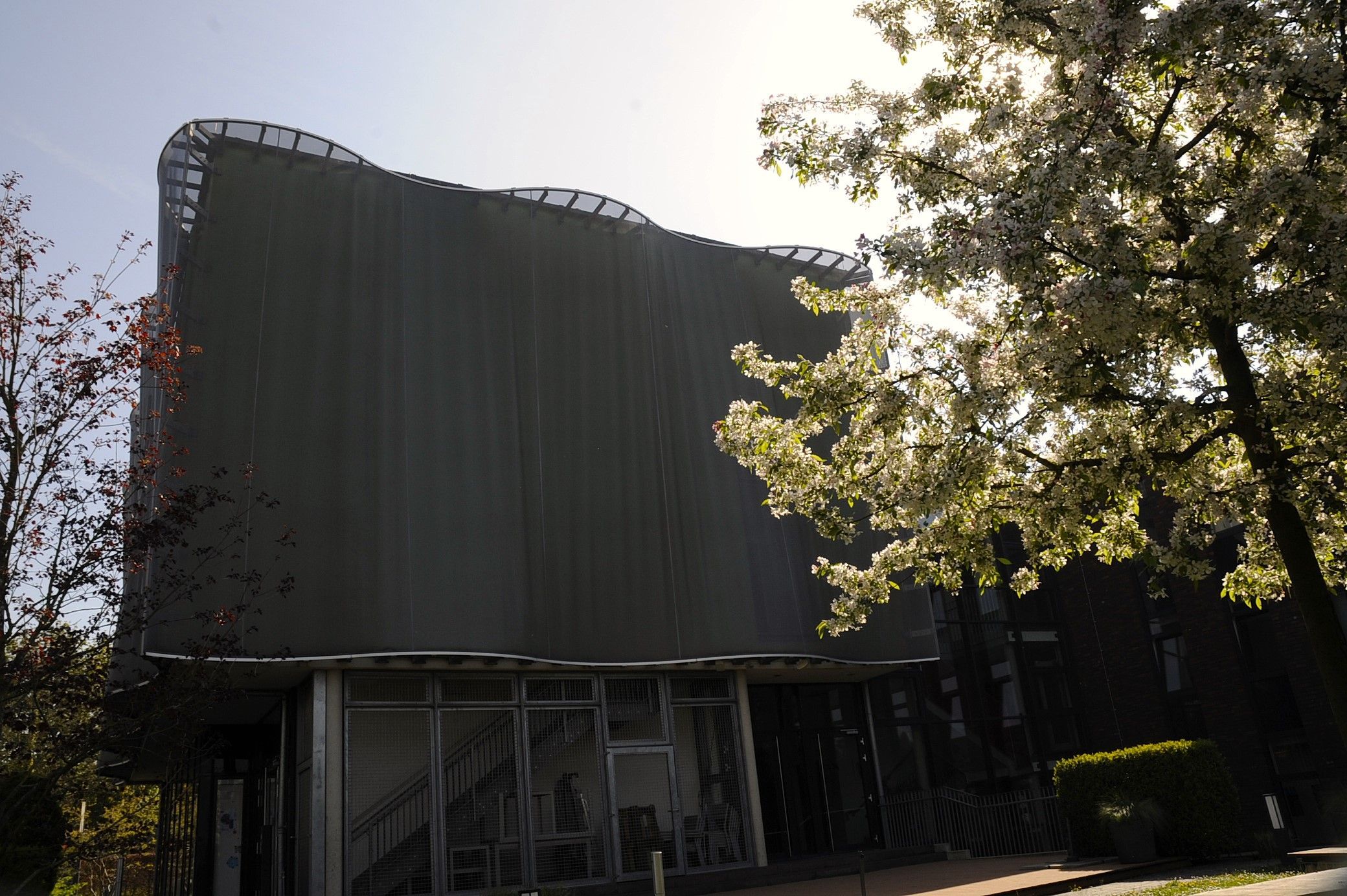 Zu sehen ist ein Baum vor einem Gebäude in der Sonne.
