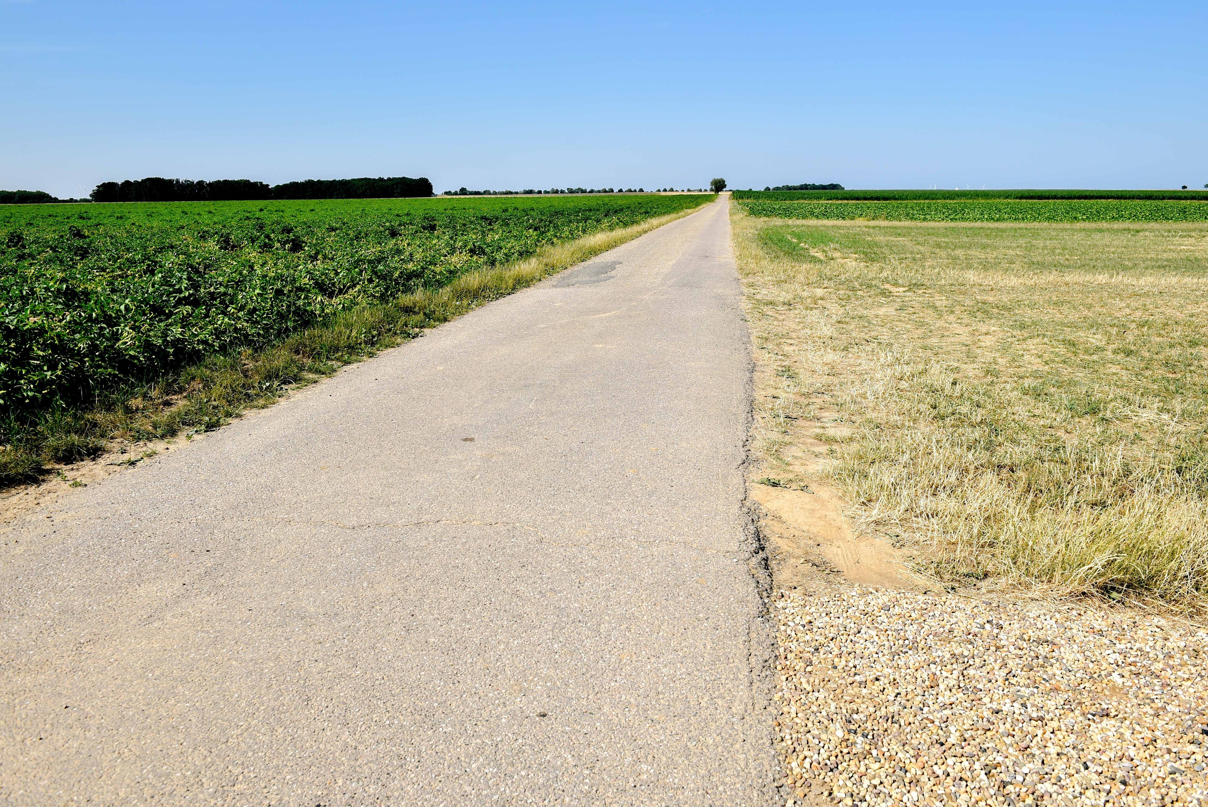 Der Blick schweift am südlichsten Punkt des Rhein-Erft-Kreises über Felder bis zum Horizont, es geht ländlich in Borr und Scheuren zu.