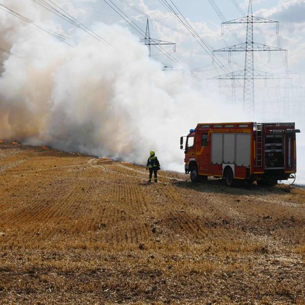Mit insgesamt acht Löschfahrzeugen bekämpfte die Feuerwehr den Brand.