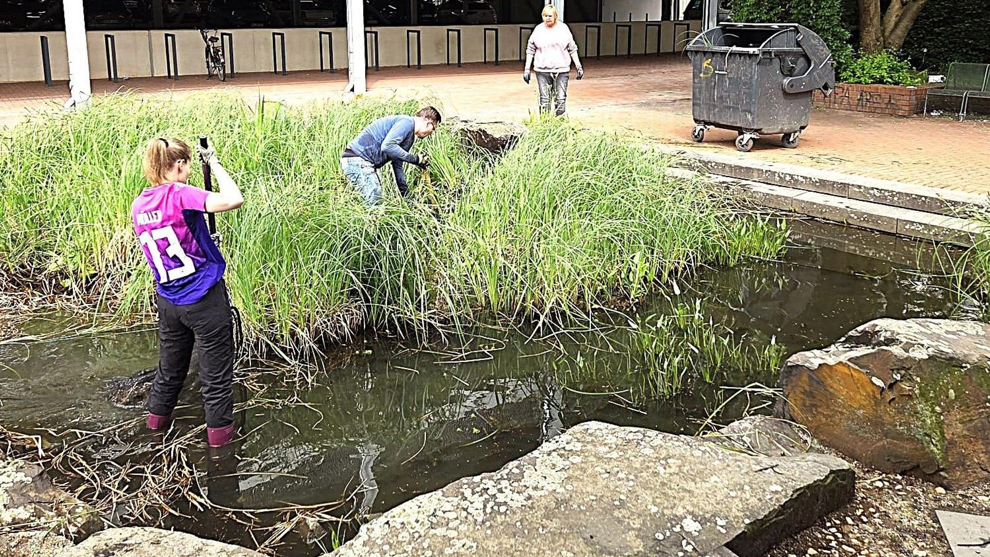 Auf dem Bild sind Mitglieder KG 333 zu sehen, die den Teich vor dem Stadtsaal reinigen.