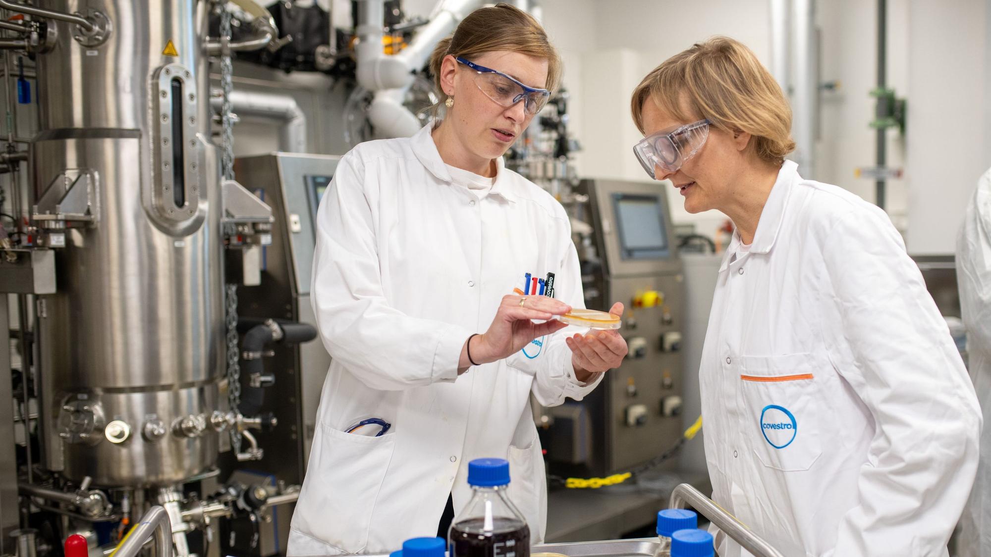Grünen-Chefin Franziska Brantner im Bio-Anilin-Labor von Covestro