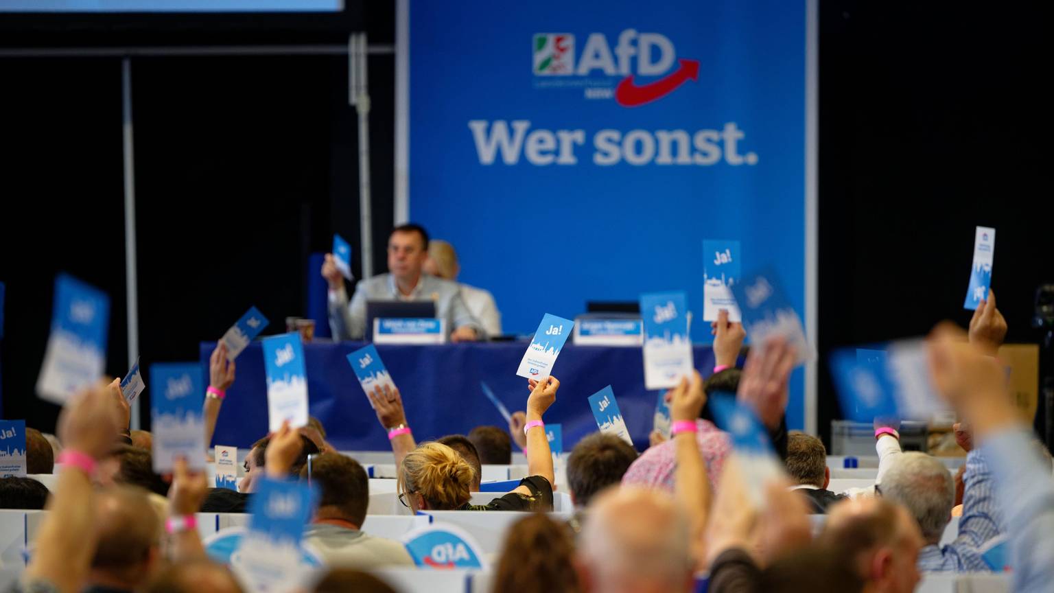 Delegierte stimmen beim Aufstellungsparteitag der AfD ab und halten Stimmkarten hoch.