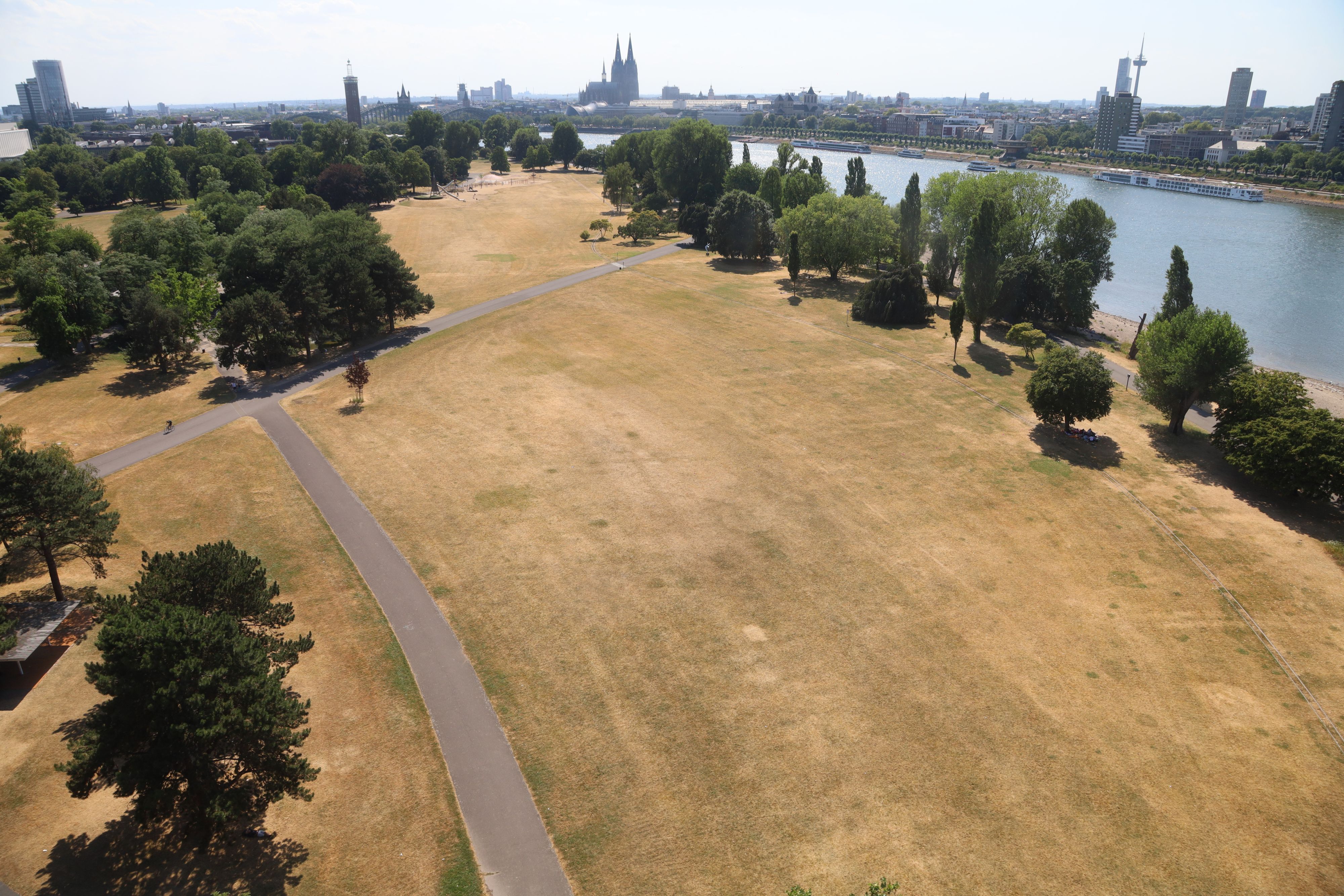 Vertrocknete Wiesen im Kölner Rheinpark.