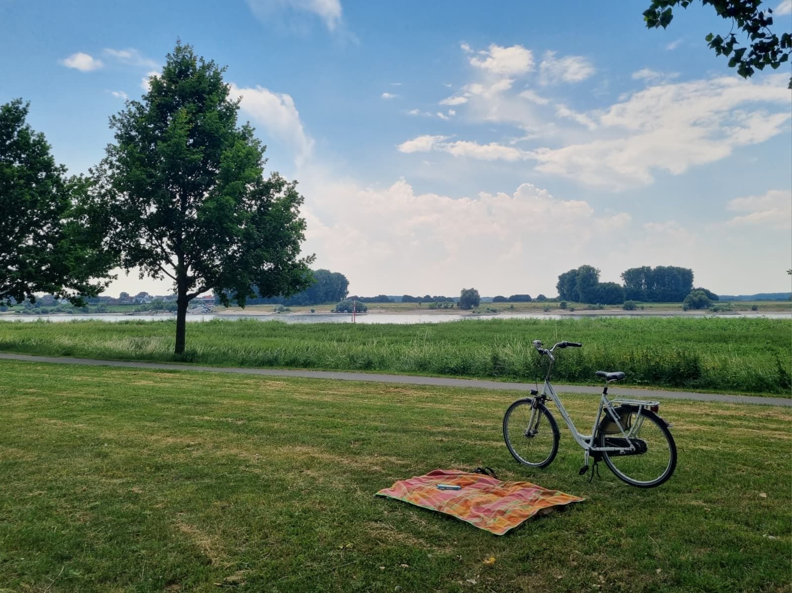 Die Wiese zwischen Hitdorfer Fähre und Hafen eignet sich perfekt für ein Picknick.