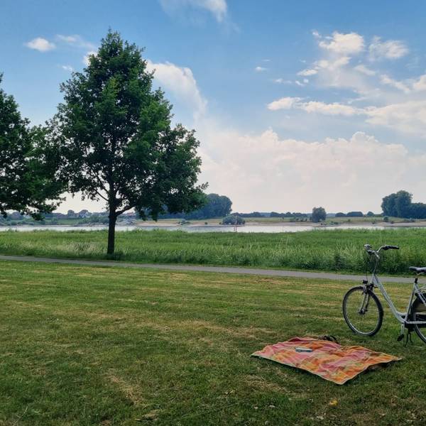 Die Wiese zwischen Hitdorfer Fähre und Hafen eignet sich perfekt für ein Picknick.