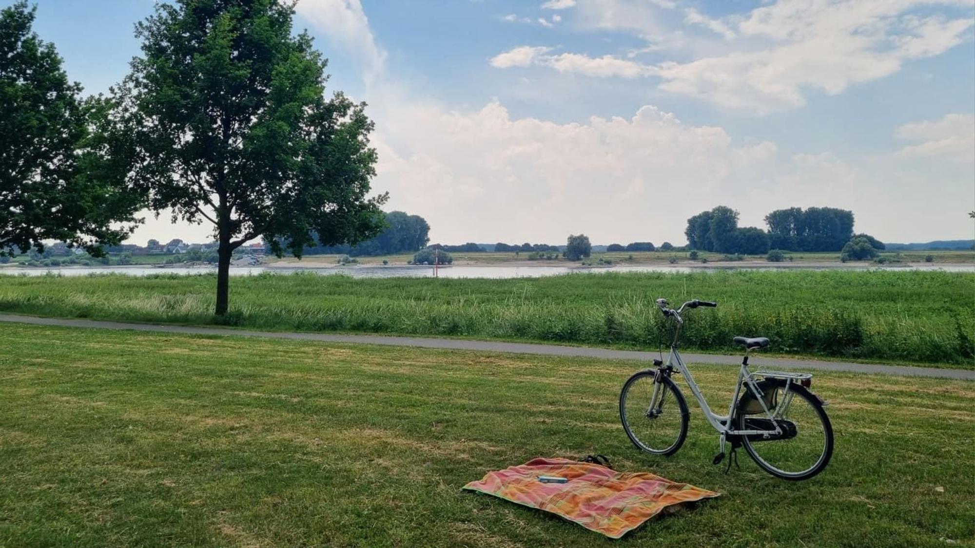 Die Wiese zwischen Hitdorfer Fähre und Hafen eignet sich perfekt für ein Picknick.