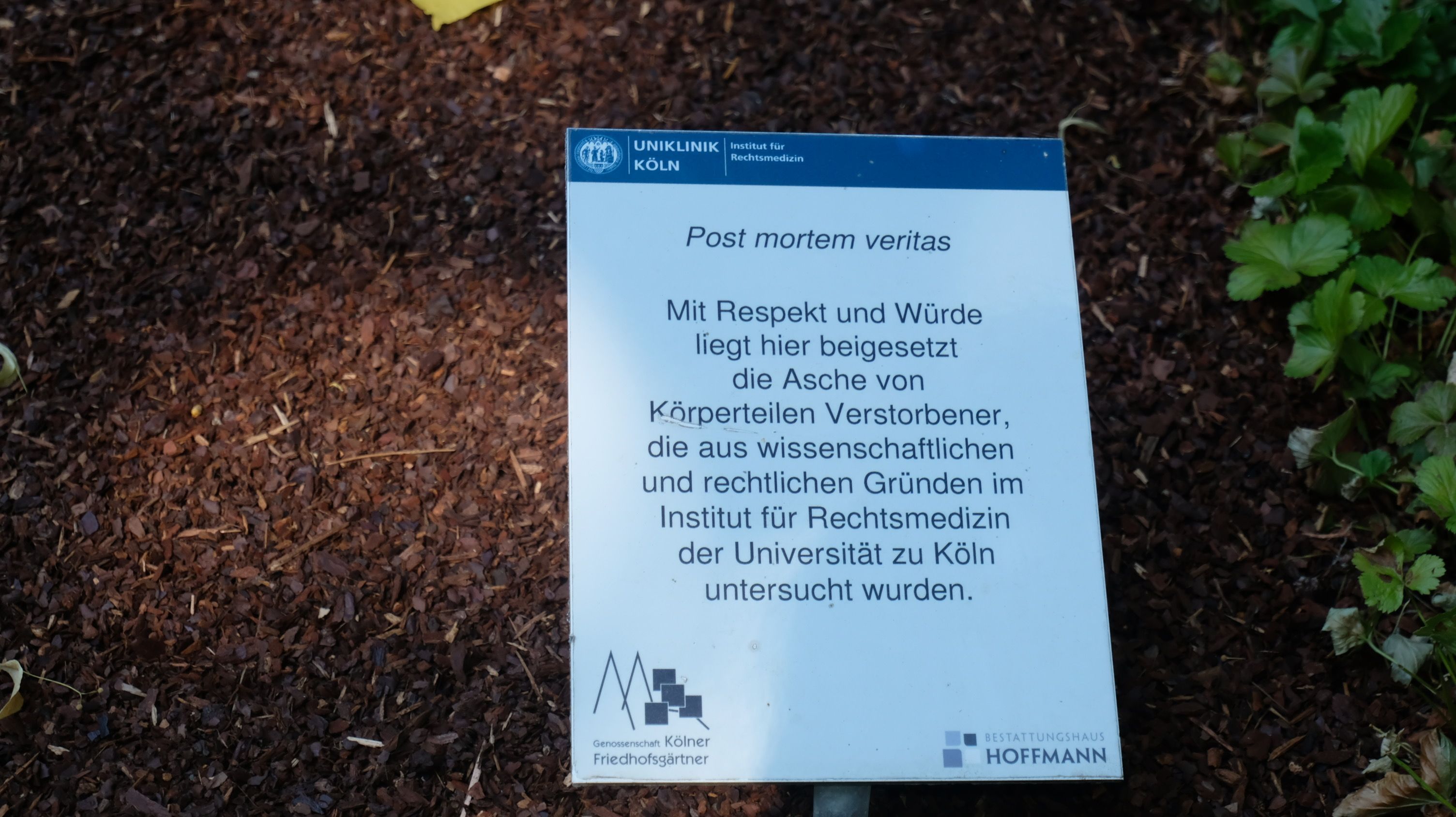Eine Hinweistafel ist an einem Grab befestigt.