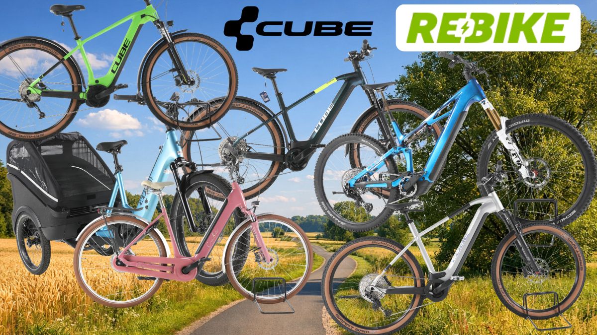 braucht man einen drehmomentschlüssel fahrrad Wera Drehmoment Set 2-6 Nm – Wera Tool Rebel Shop dmBio Tomatensauce gegrillte Paprika, Categories_Fahrradträger Anhängerkupplung Konfiguration Unit:H215xB164
