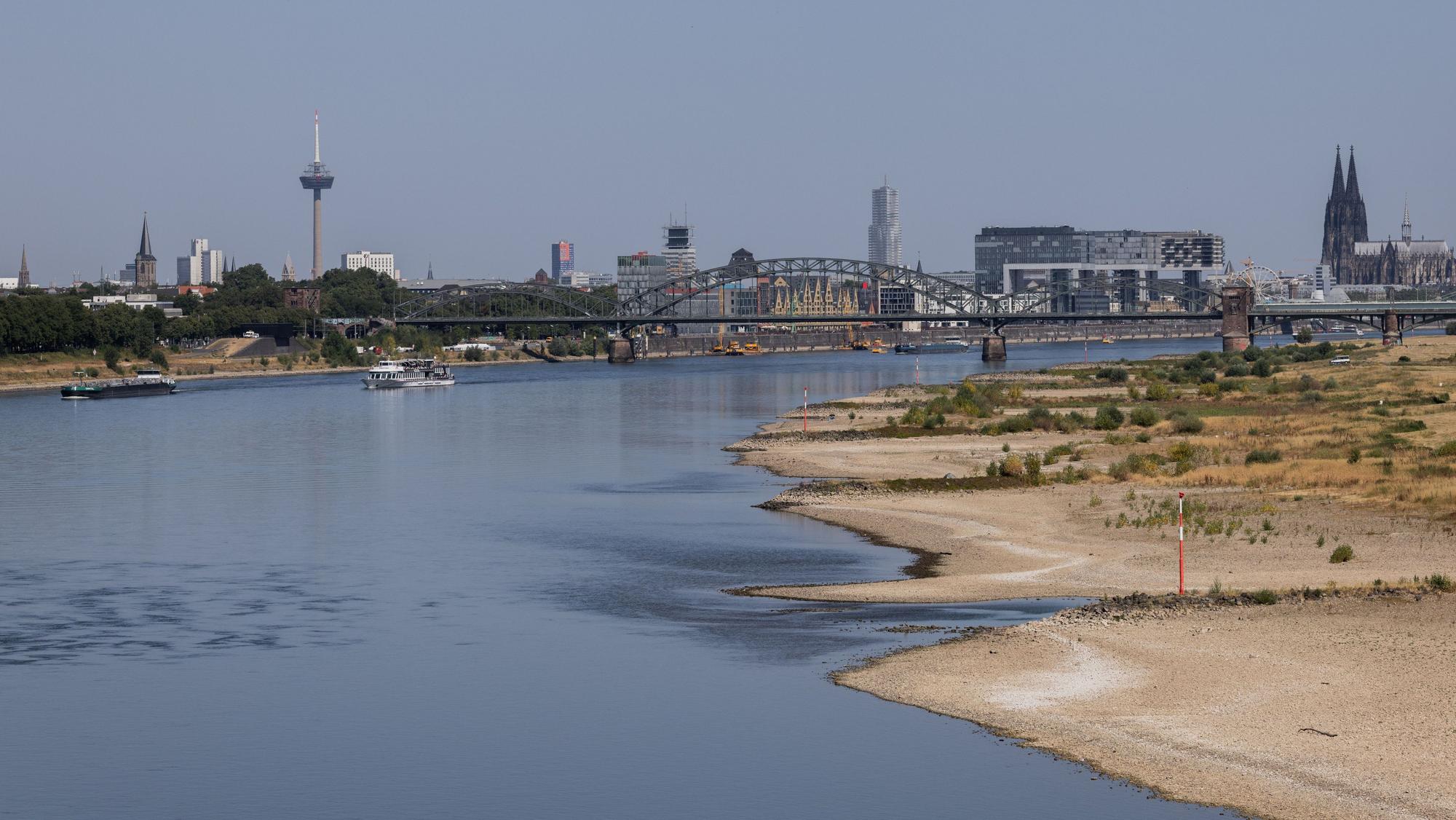 Der Rhein bei Köln im Juli 2026.