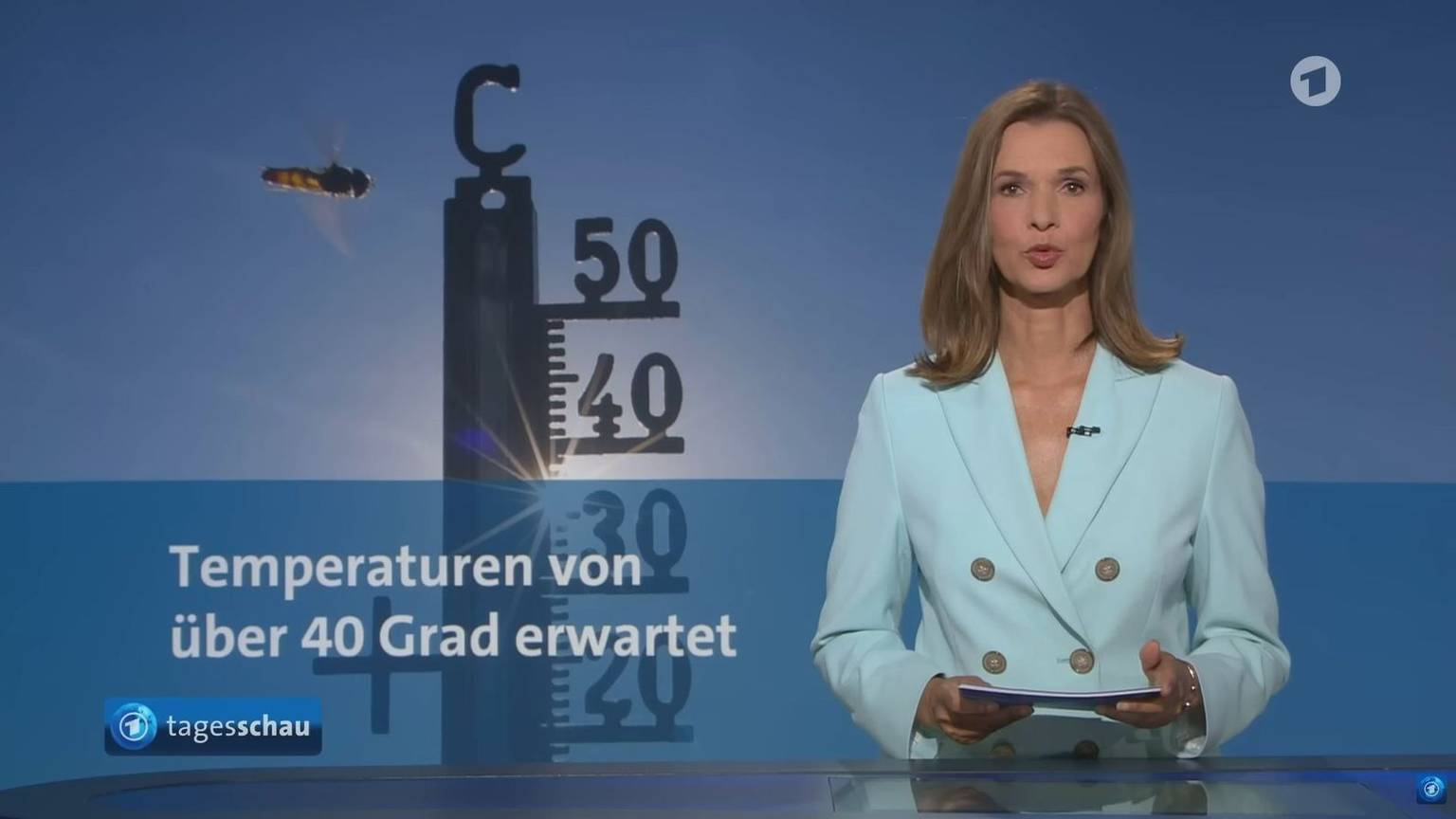 „Tagesschau“-Sprecherin Julia Niharika-Sen bei der 20-Uhr-Ausgabe: Klimathemen werden im öffentlich-rechtlichen Fernsehen immer seltener aufgegriffen. (Bild: NDR / ARD)