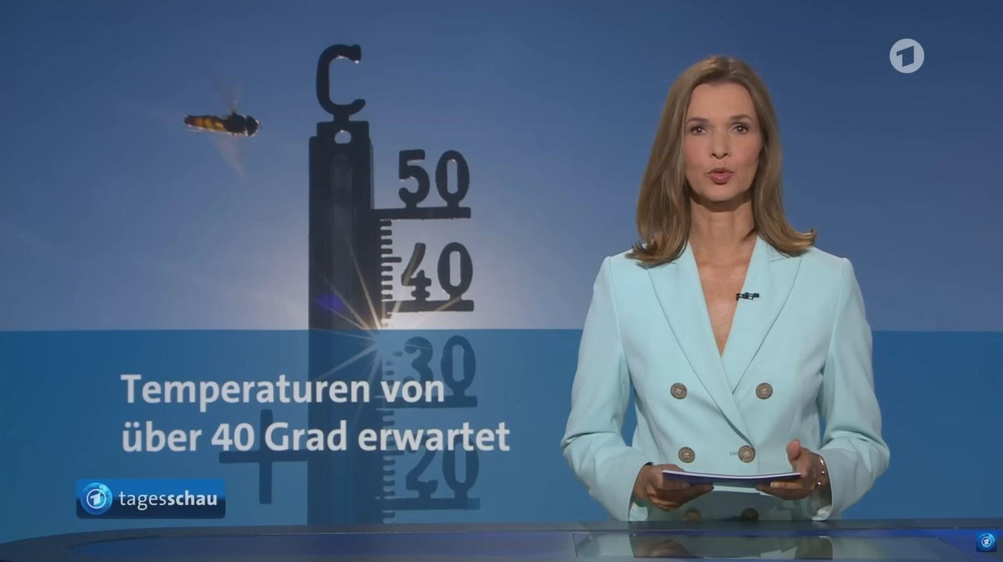 „Tagesschau“-Sprecherin Julia Niharika-Sen bei der 20-Uhr-Ausgabe: Klimathemen werden im öffentlich-rechtlichen Fernsehen immer seltener aufgegriffen. (Bild: NDR / ARD)