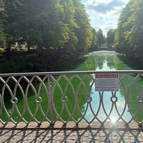 Ein Schild weist auf die Gefahr durch Blaualgen am Clarenbachkanal hin.