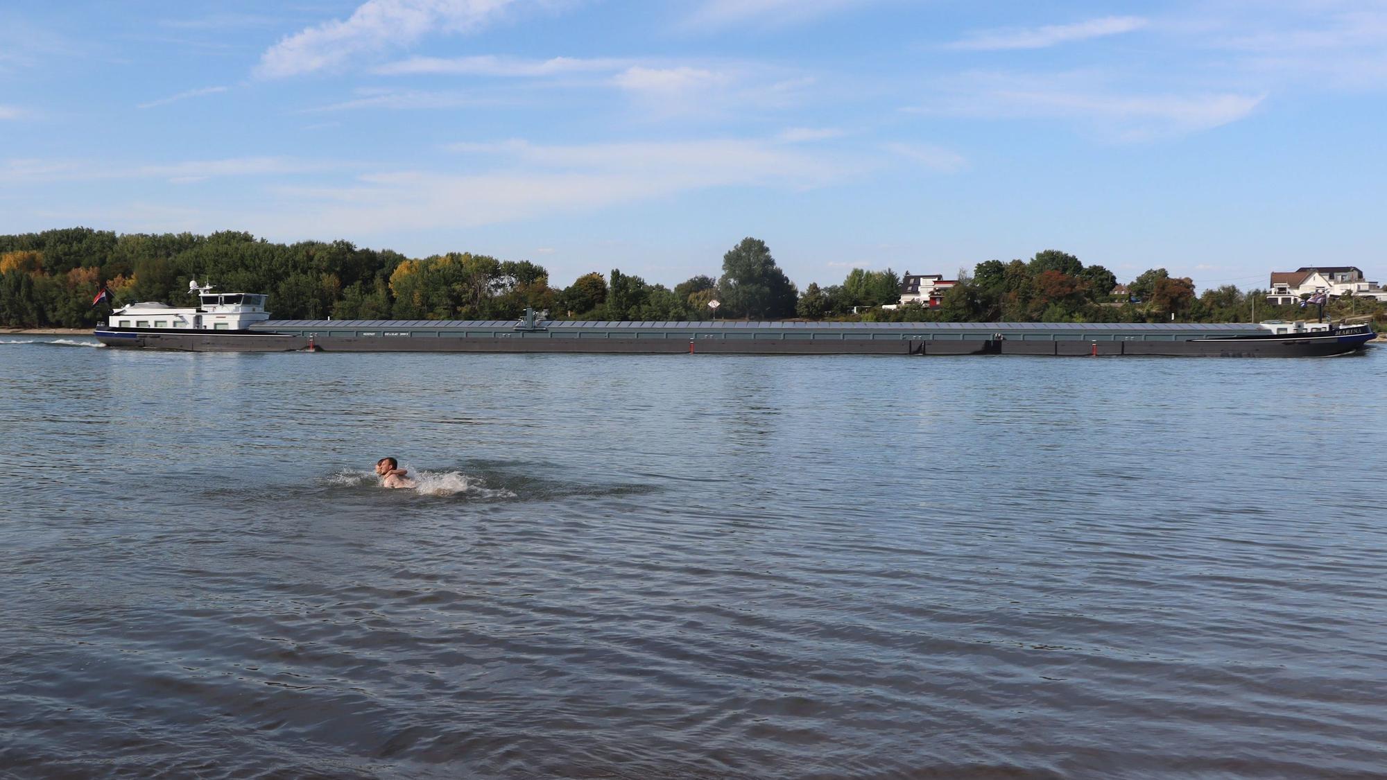 Schwimmen im Rhein ist und bleibt gefährlich - das Foto der beiden Erwachsenen, die sich hier im Rhein in Wesseling abkühlen, entstand im August 2025.