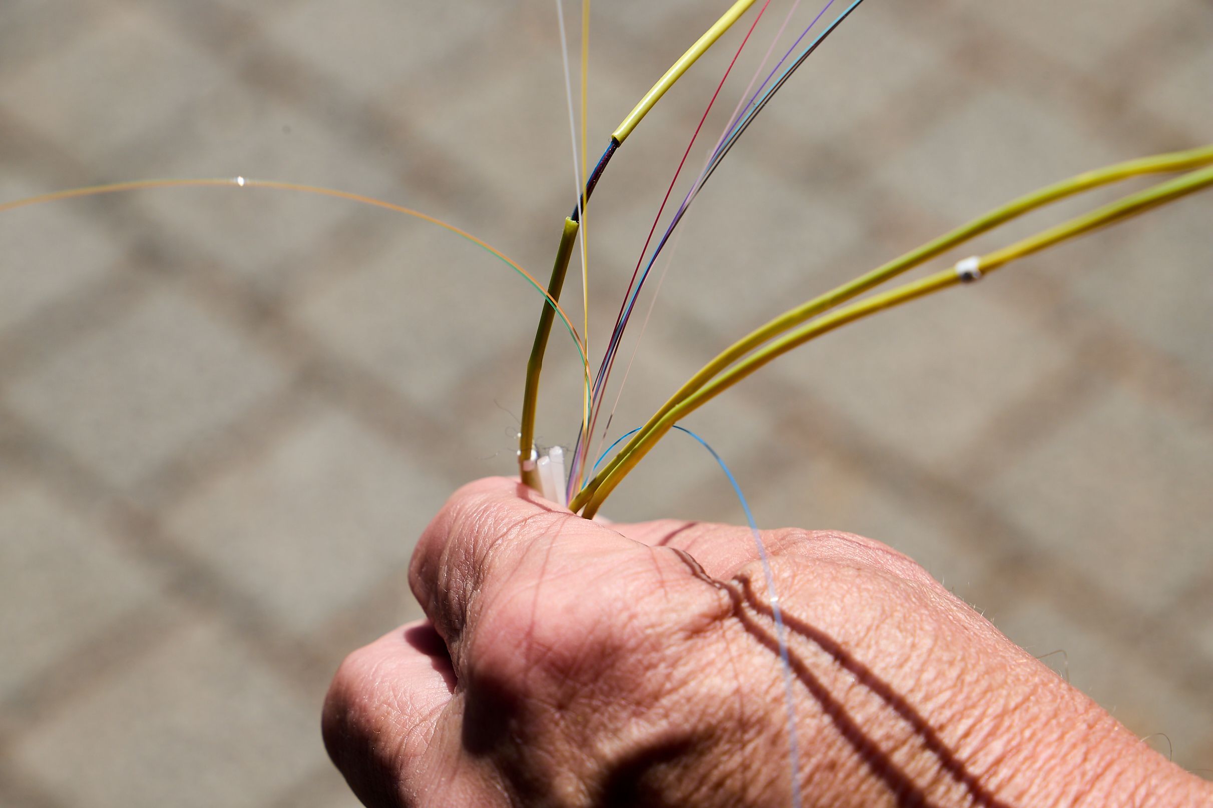 Ein Hand hält ein aufgesplittetes Glasfaserkabel.